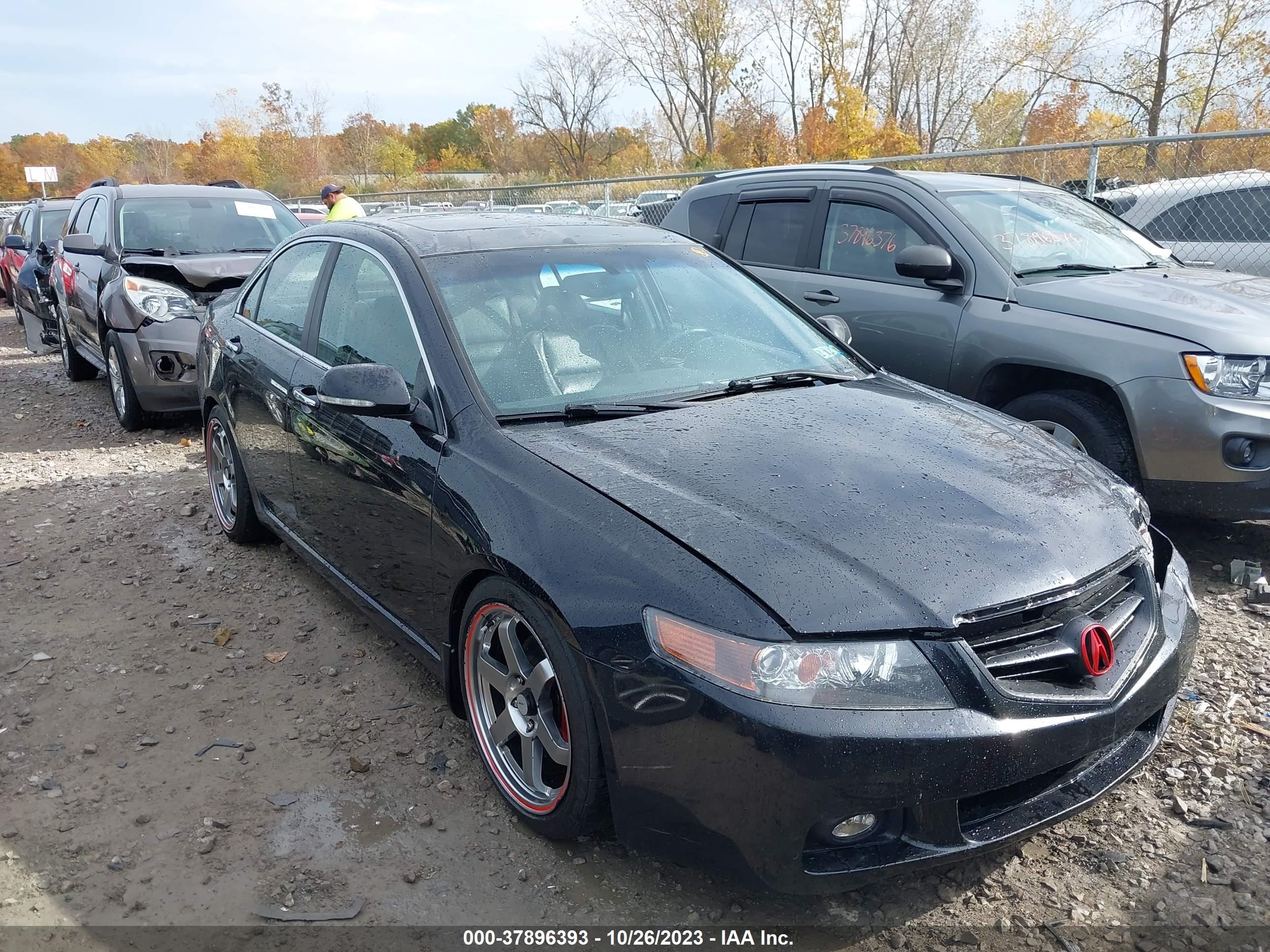 ACURA TSX 2004 jh4cl95974c011287