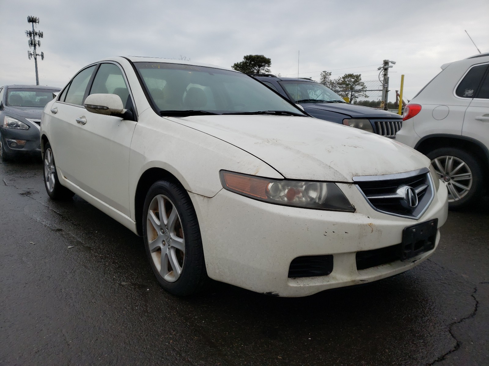 ACURA TSX 2004 jh4cl96804c033699