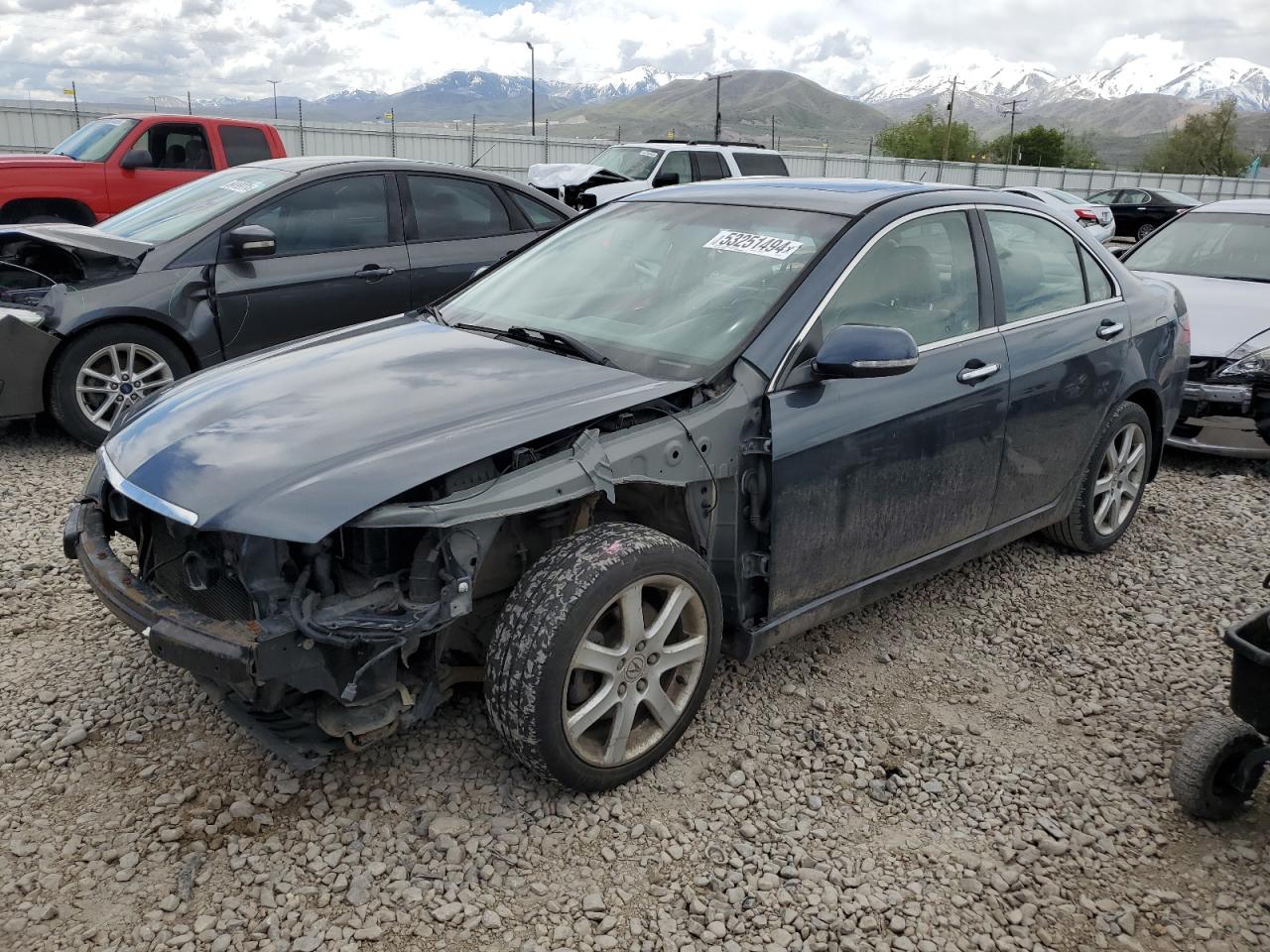 ACURA TSX 2004 jh4cl96804c045416