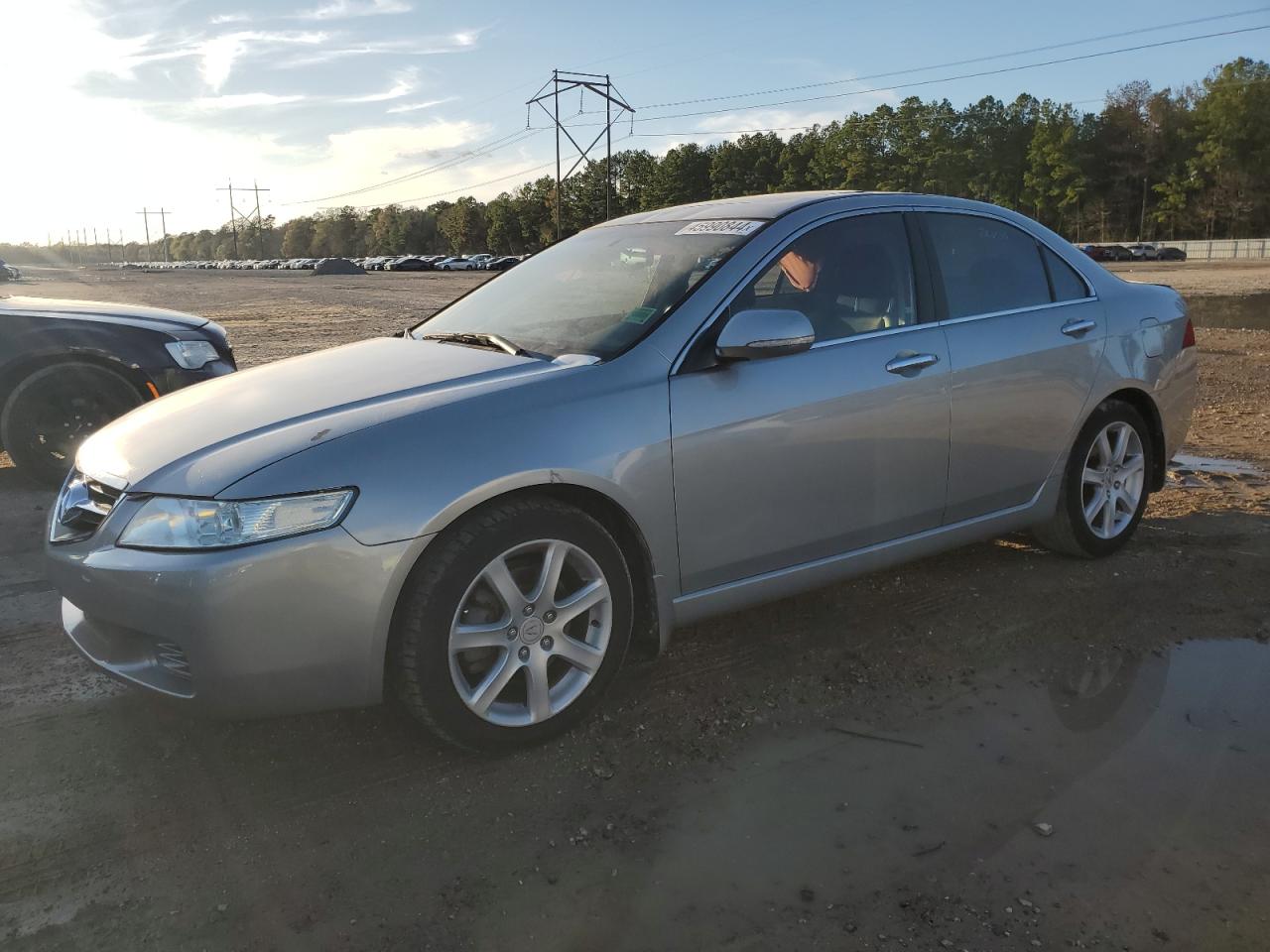 ACURA TSX 2005 jh4cl96805c005046