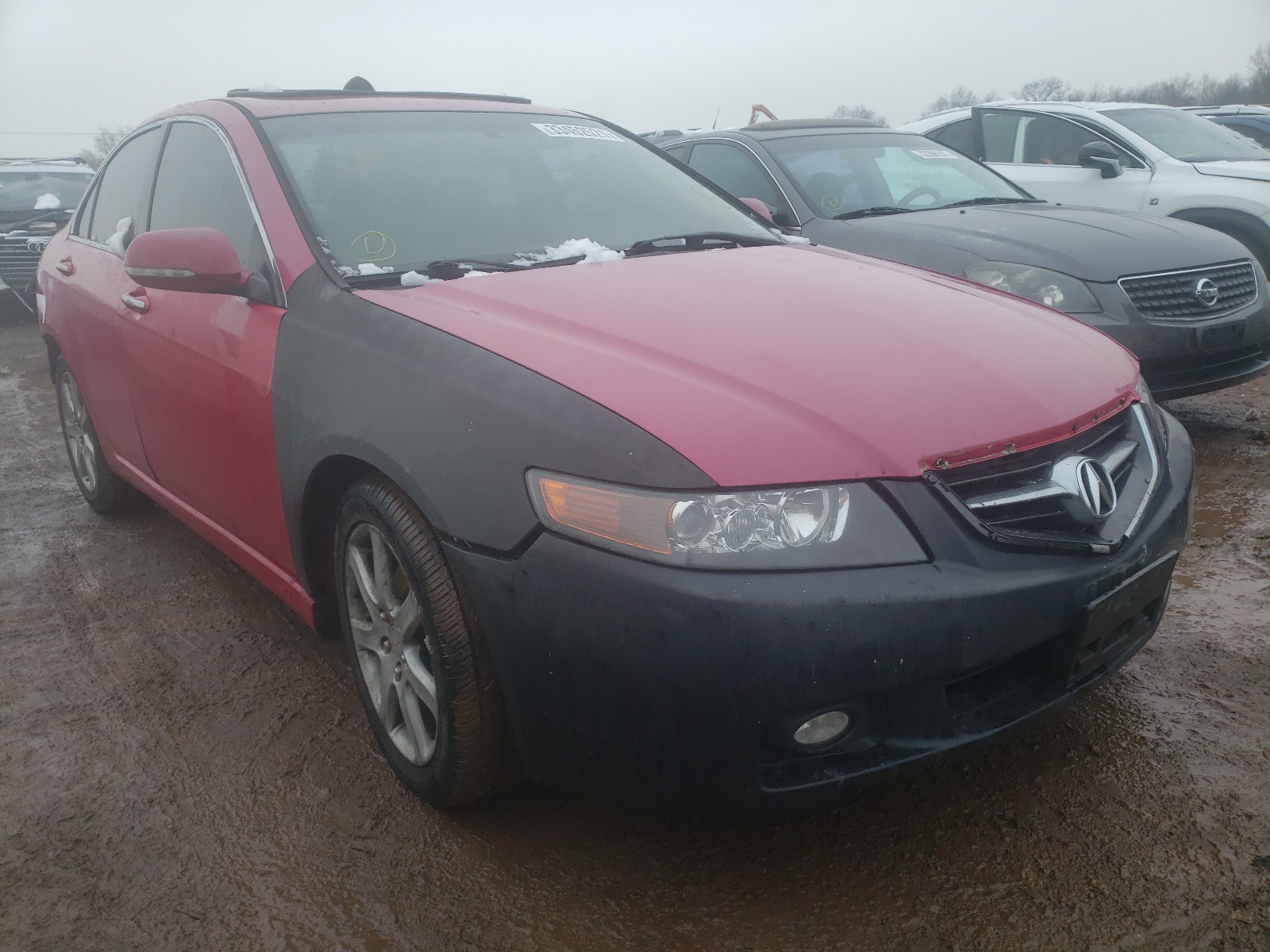 ACURA TSX 2005 jh4cl96805c014040