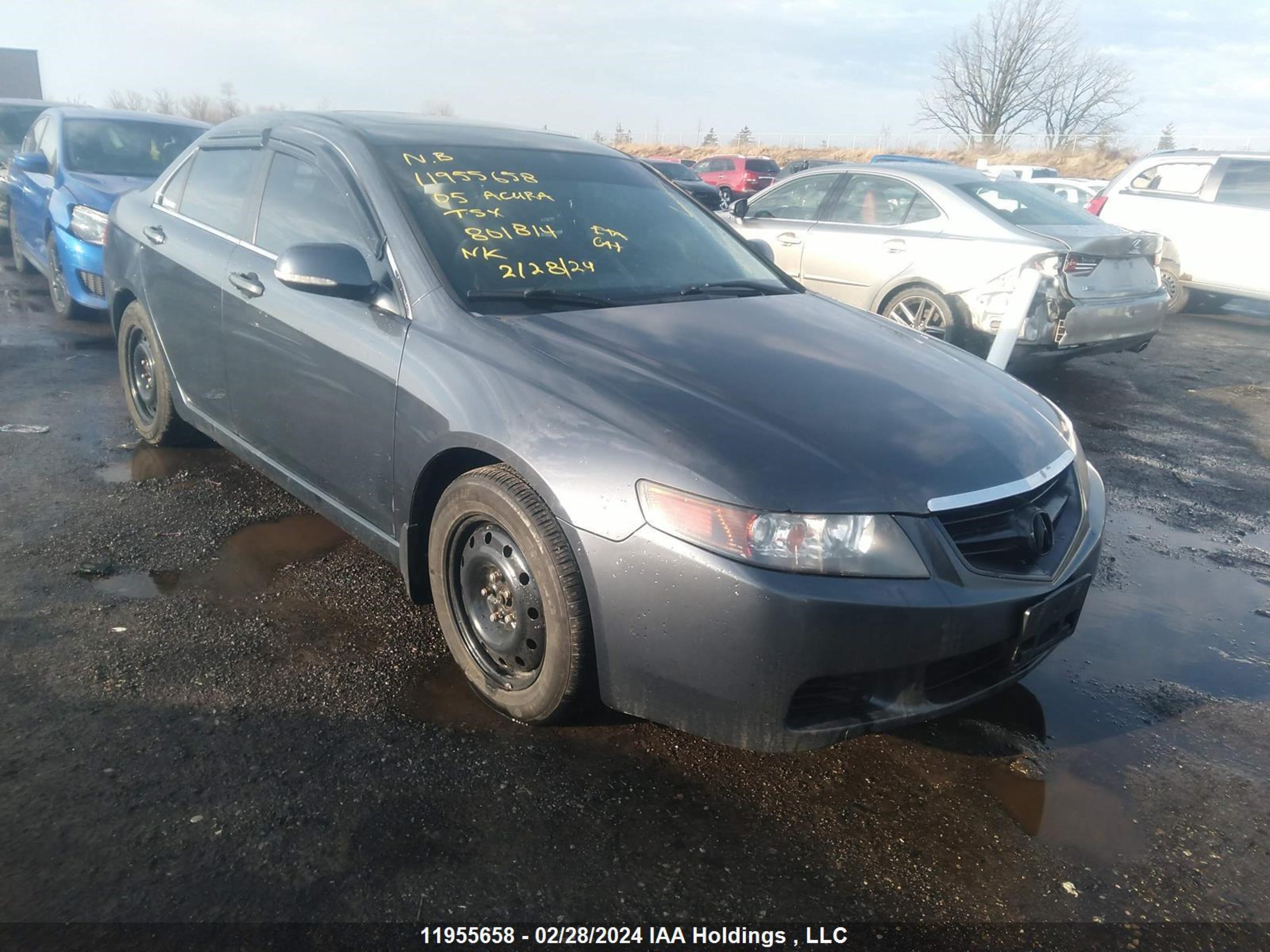 ACURA TSX 2005 jh4cl96805c801814