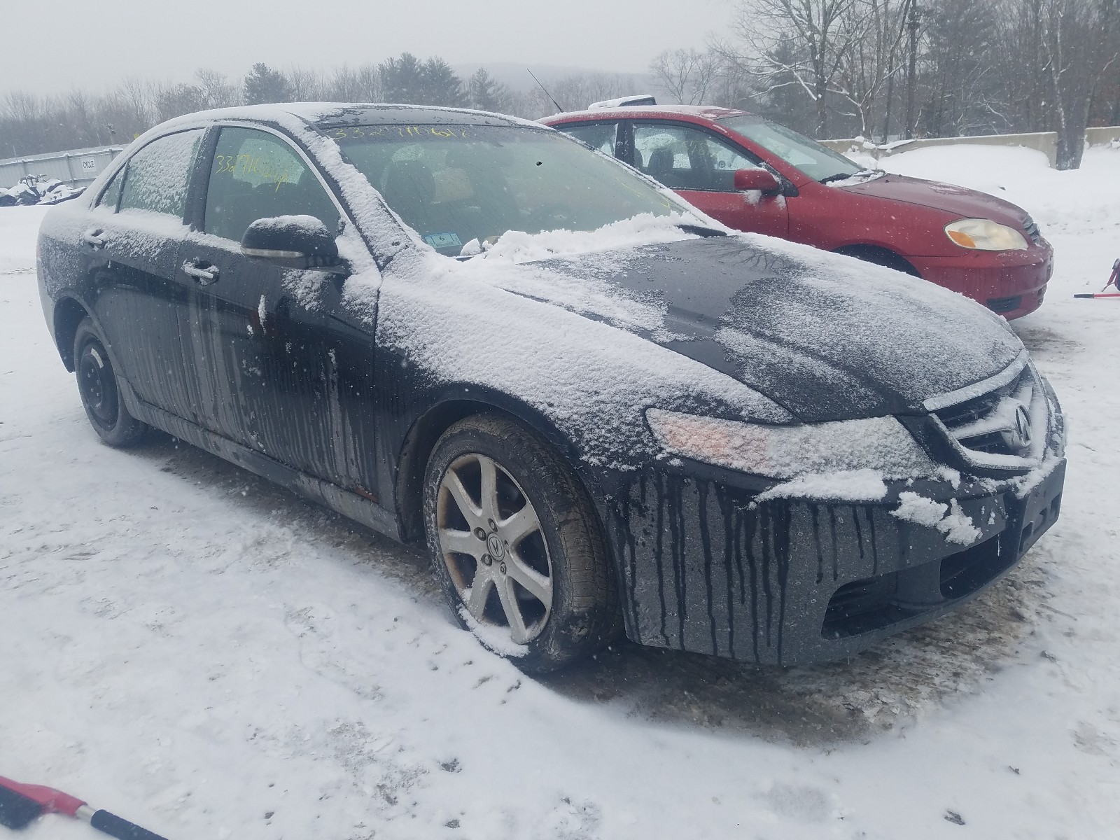 ACURA TSX 2005 jh4cl96825c011916