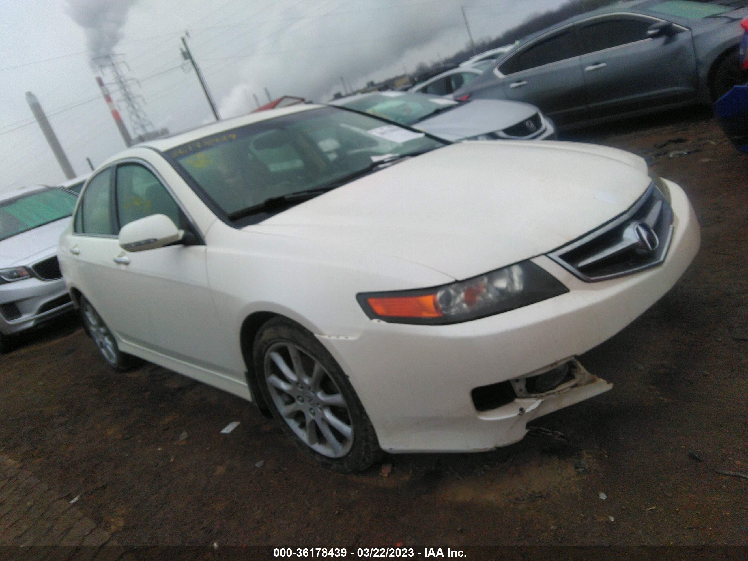 ACURA TSX 2006 jh4cl96826c014929