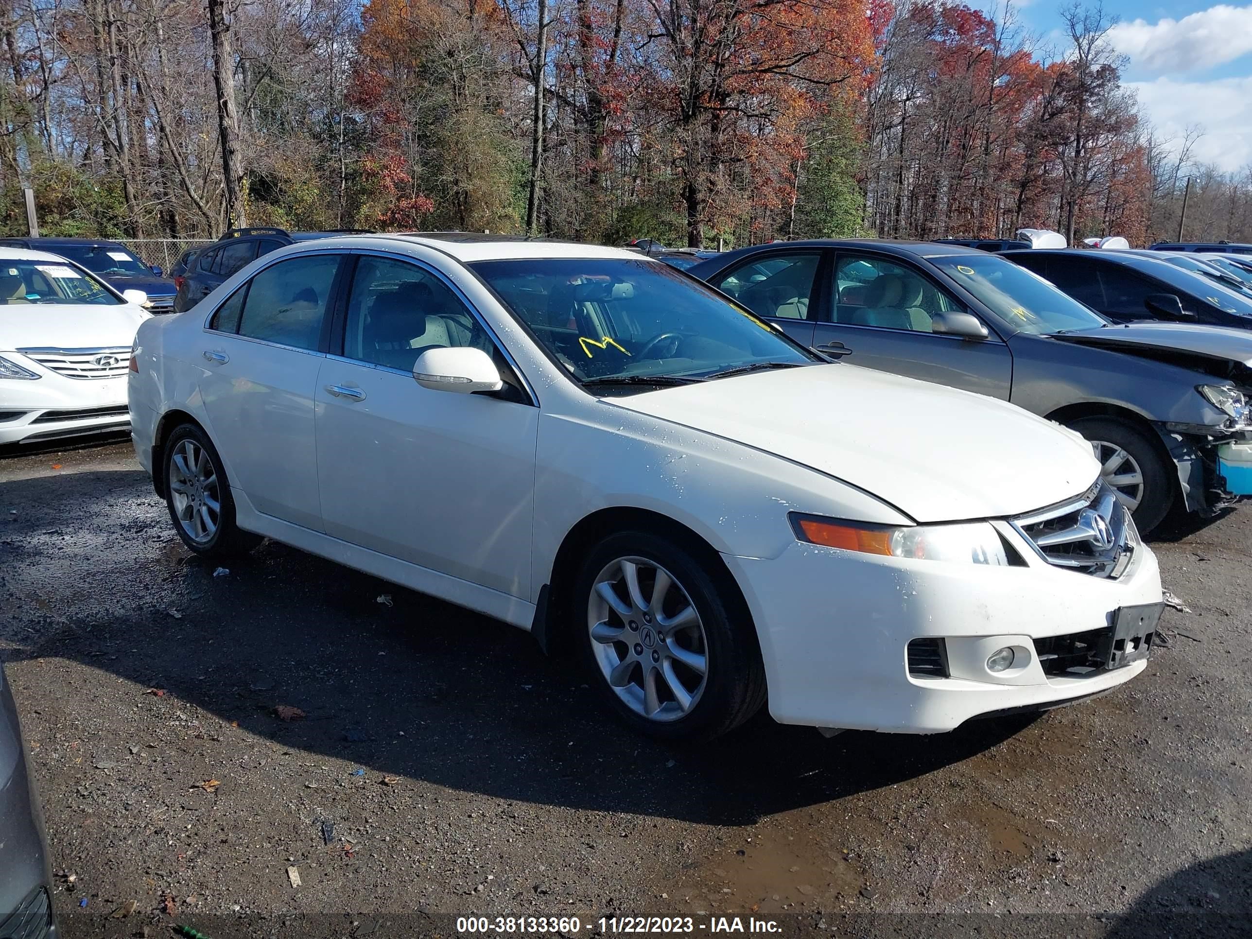 ACURA TSX 2008 jh4cl96828c005280