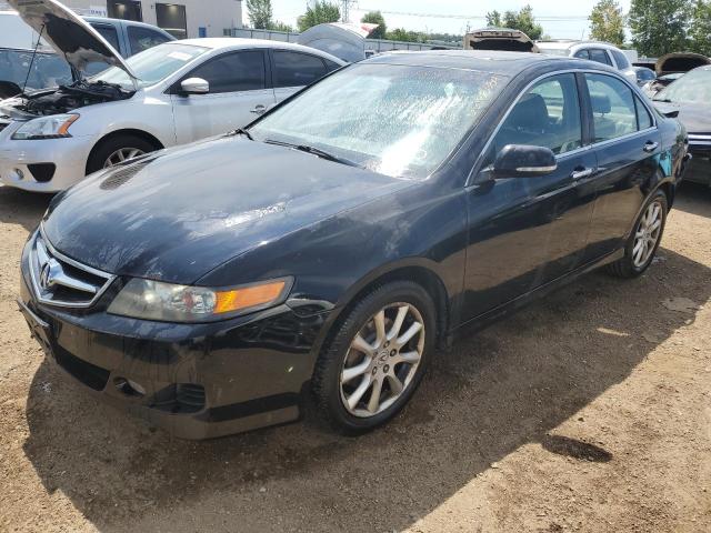 ACURA TSX 2008 jh4cl96828c015162