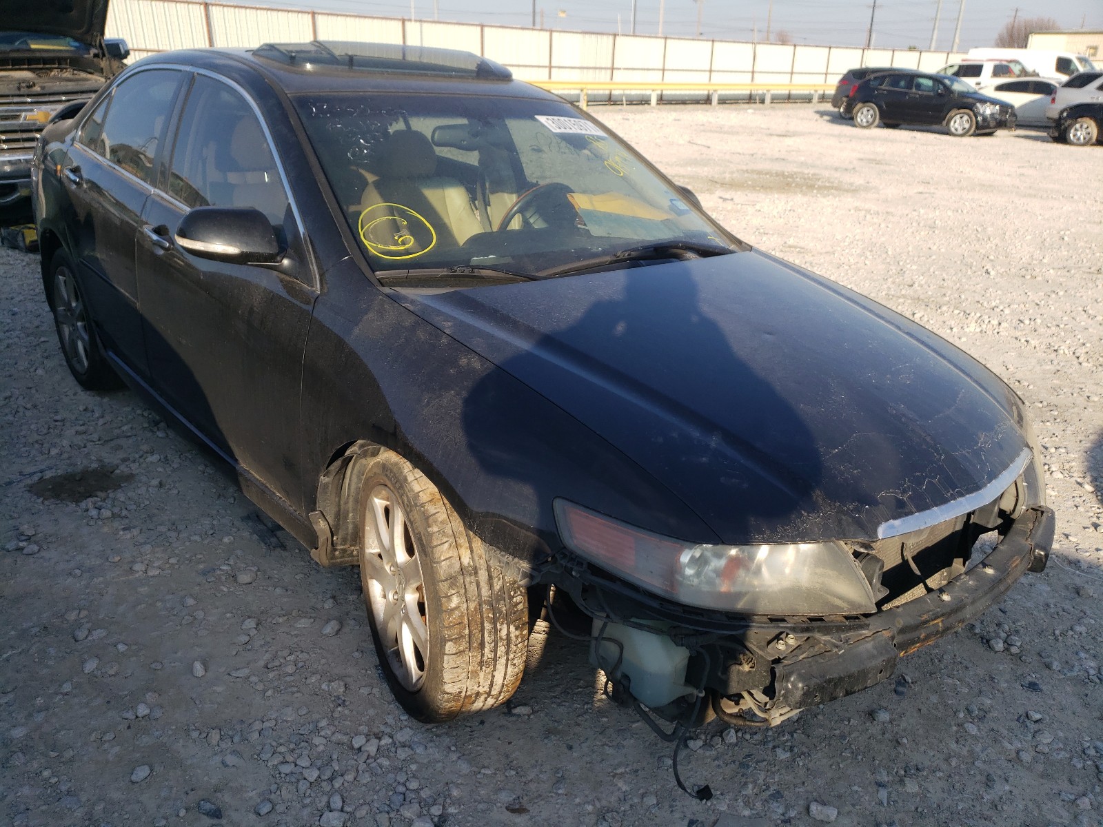 ACURA TSX 2005 jh4cl96835c015974