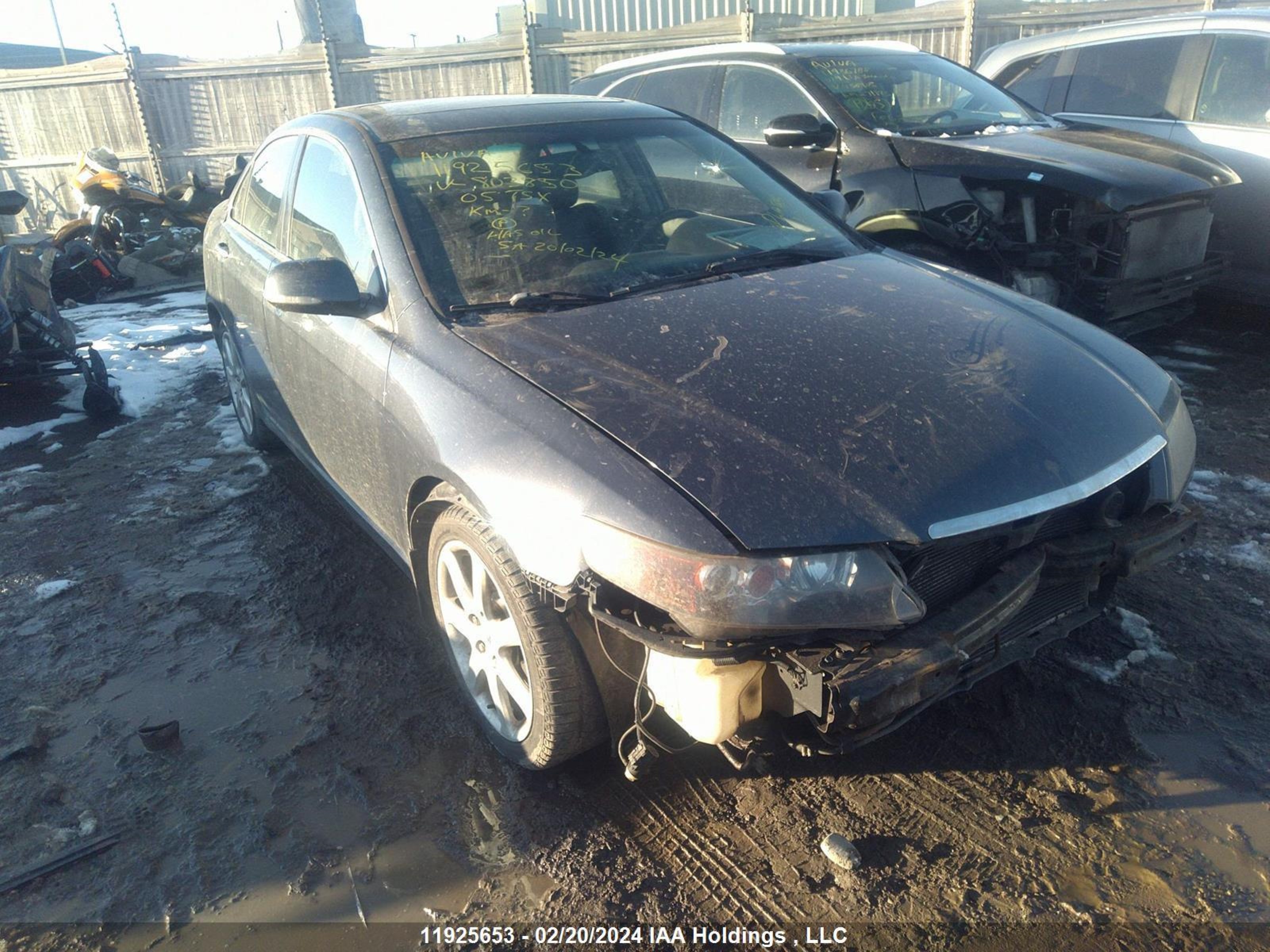 ACURA TSX 2005 jh4cl96835c803850