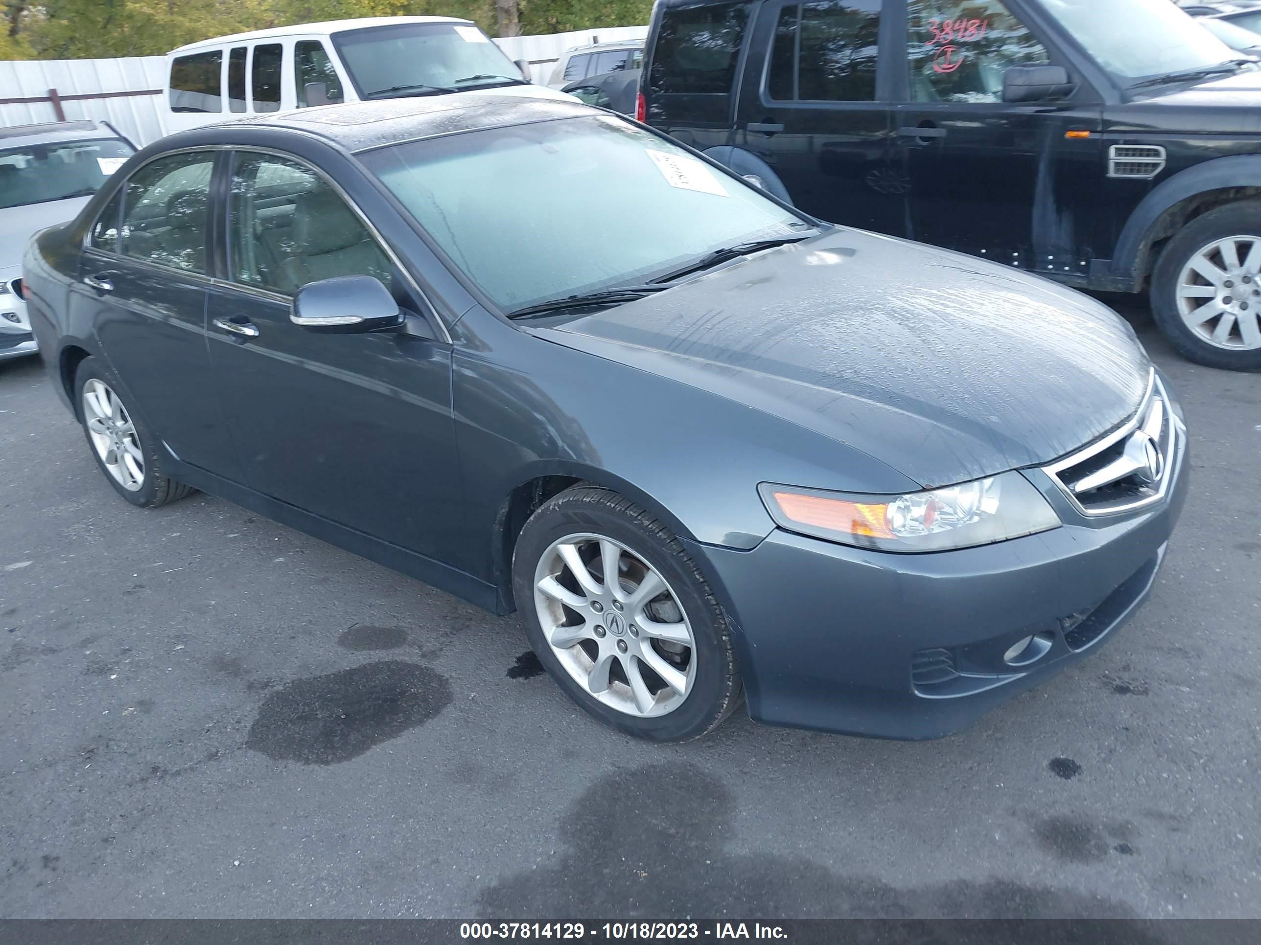 ACURA TSX 2006 jh4cl96836c030380