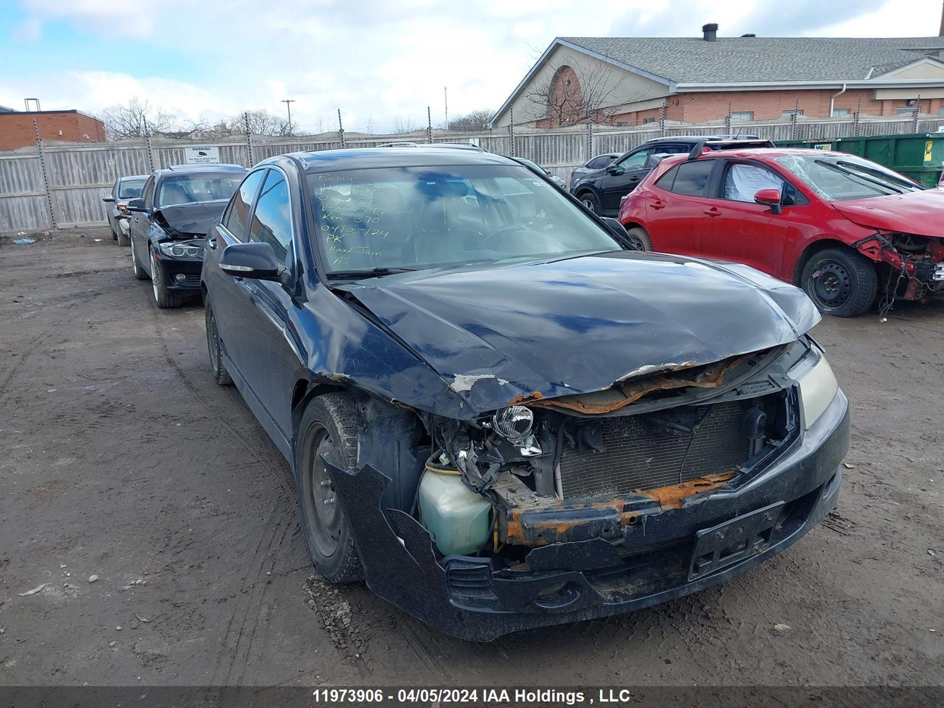 ACURA TSX 2006 jh4cl96836c800447