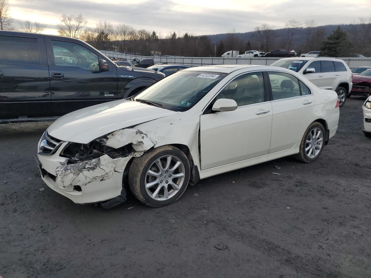 ACURA TSX 2008 jh4cl96838c001318