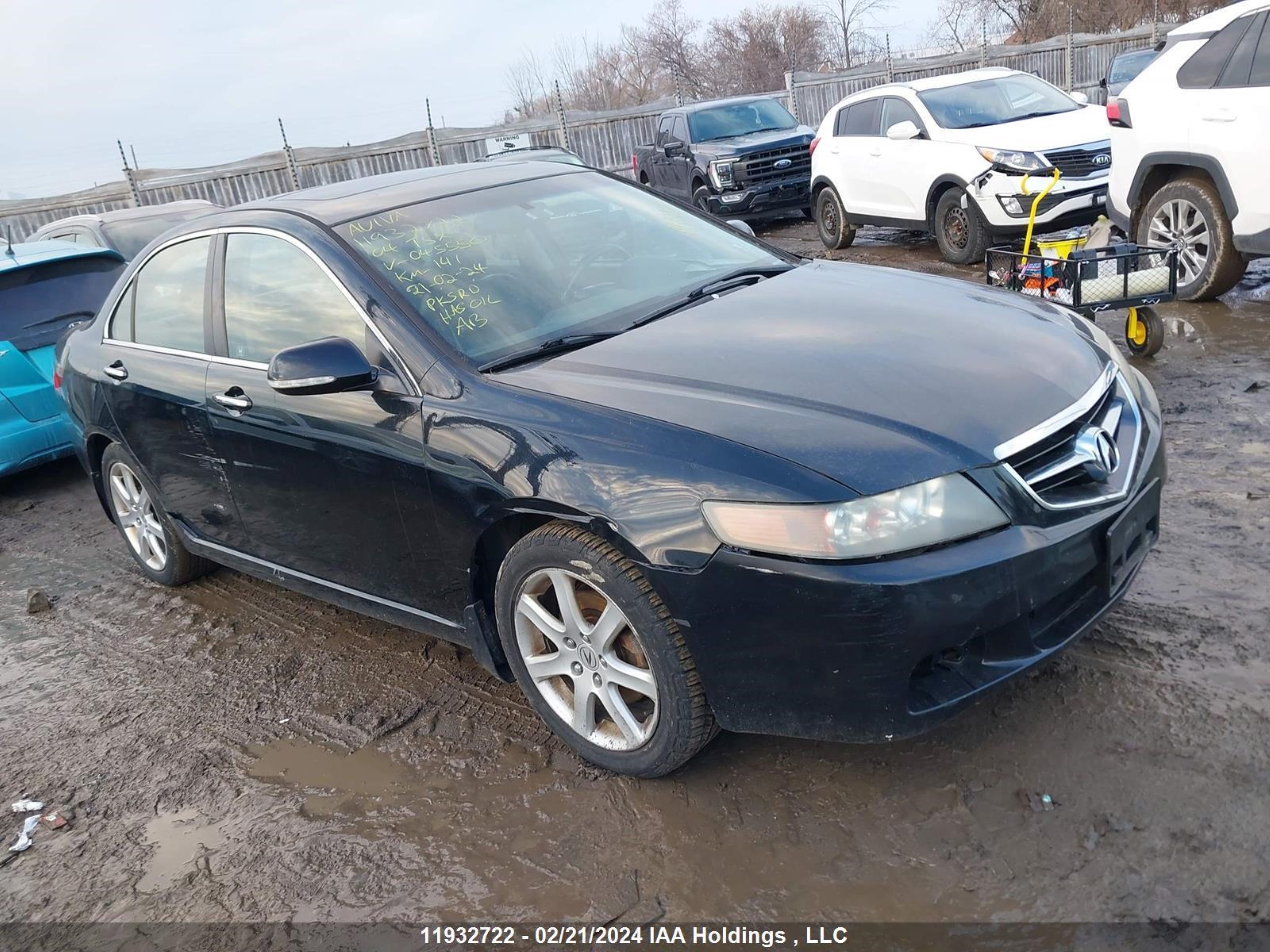 ACURA TSX 2004 jh4cl96844c045550