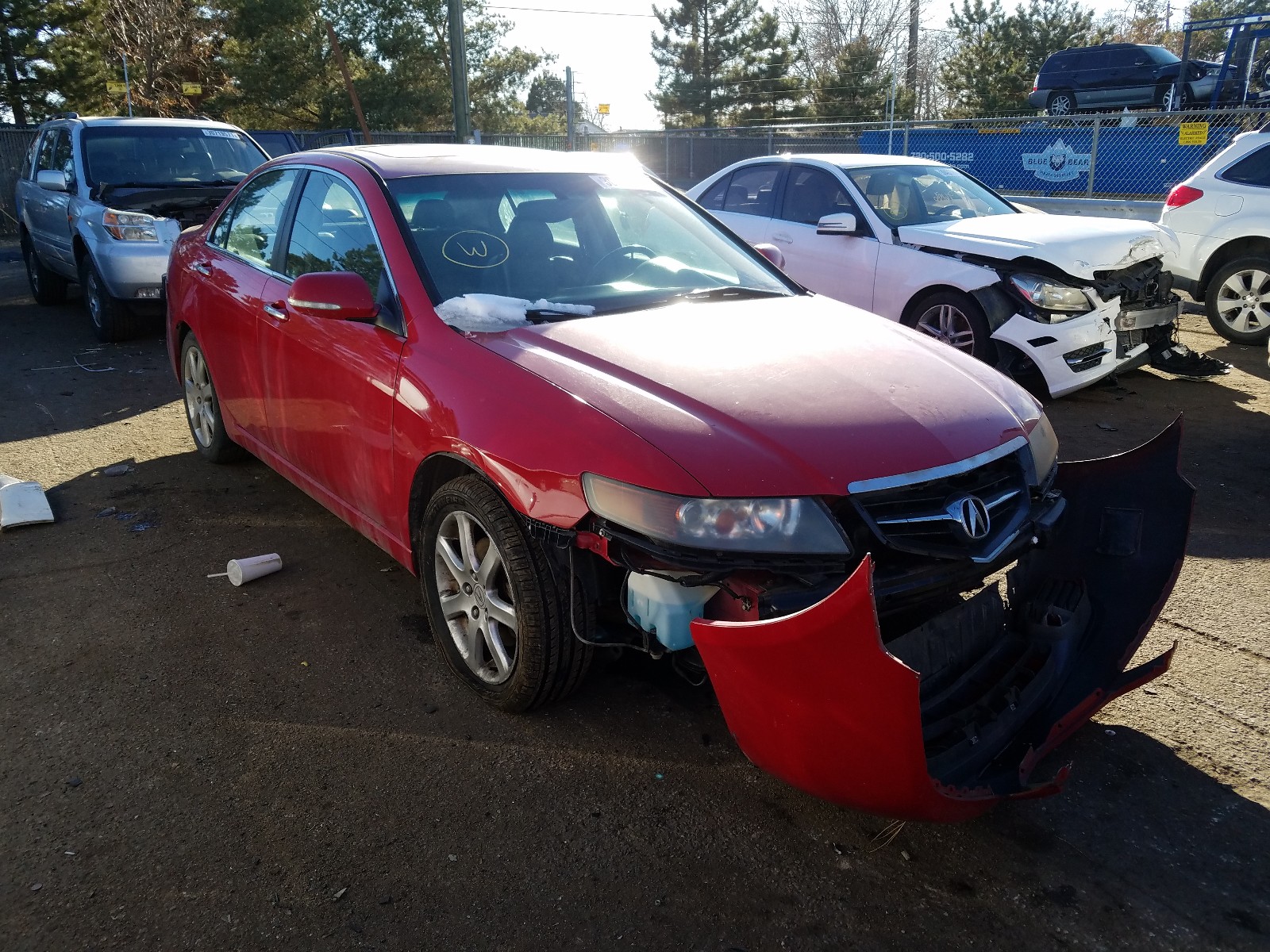 ACURA TSX 2005 jh4cl96845c026272