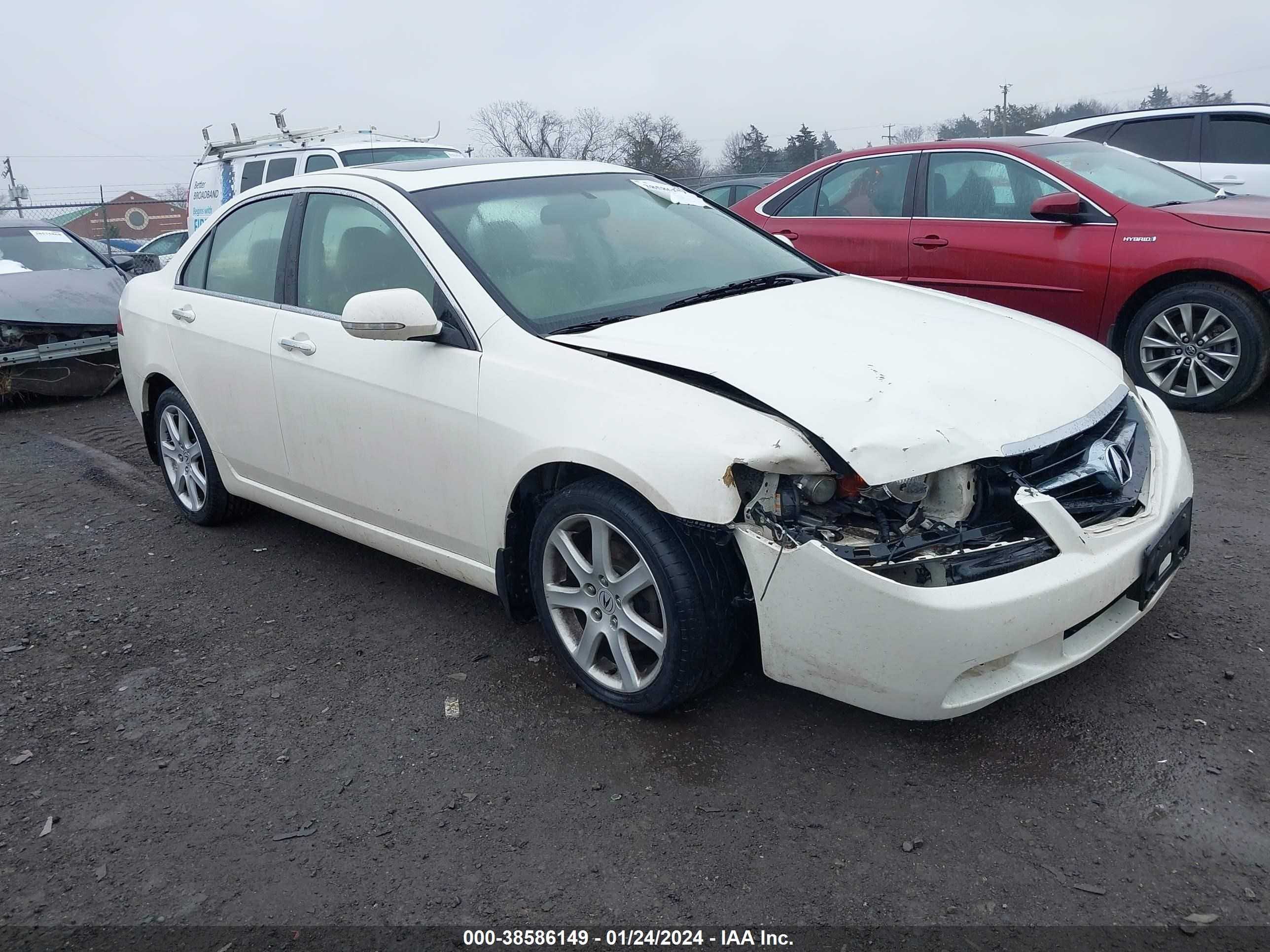 ACURA TSX 2006 jh4cl96846c019906