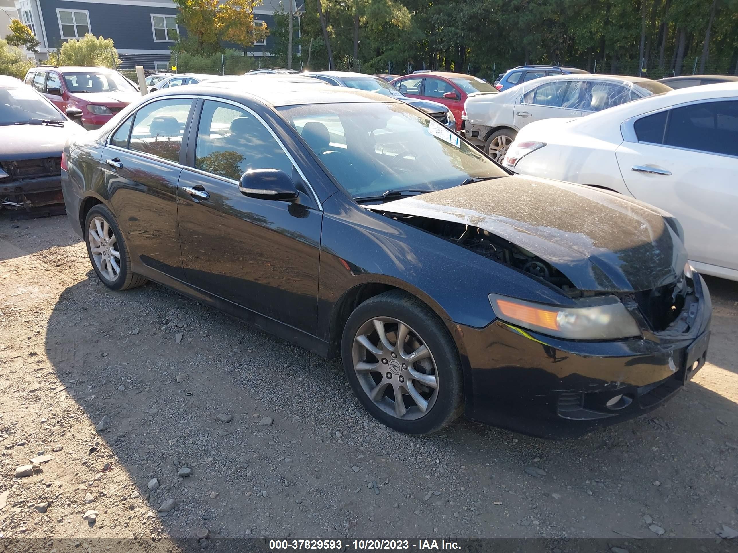 ACURA TSX 2006 jh4cl96846c032896