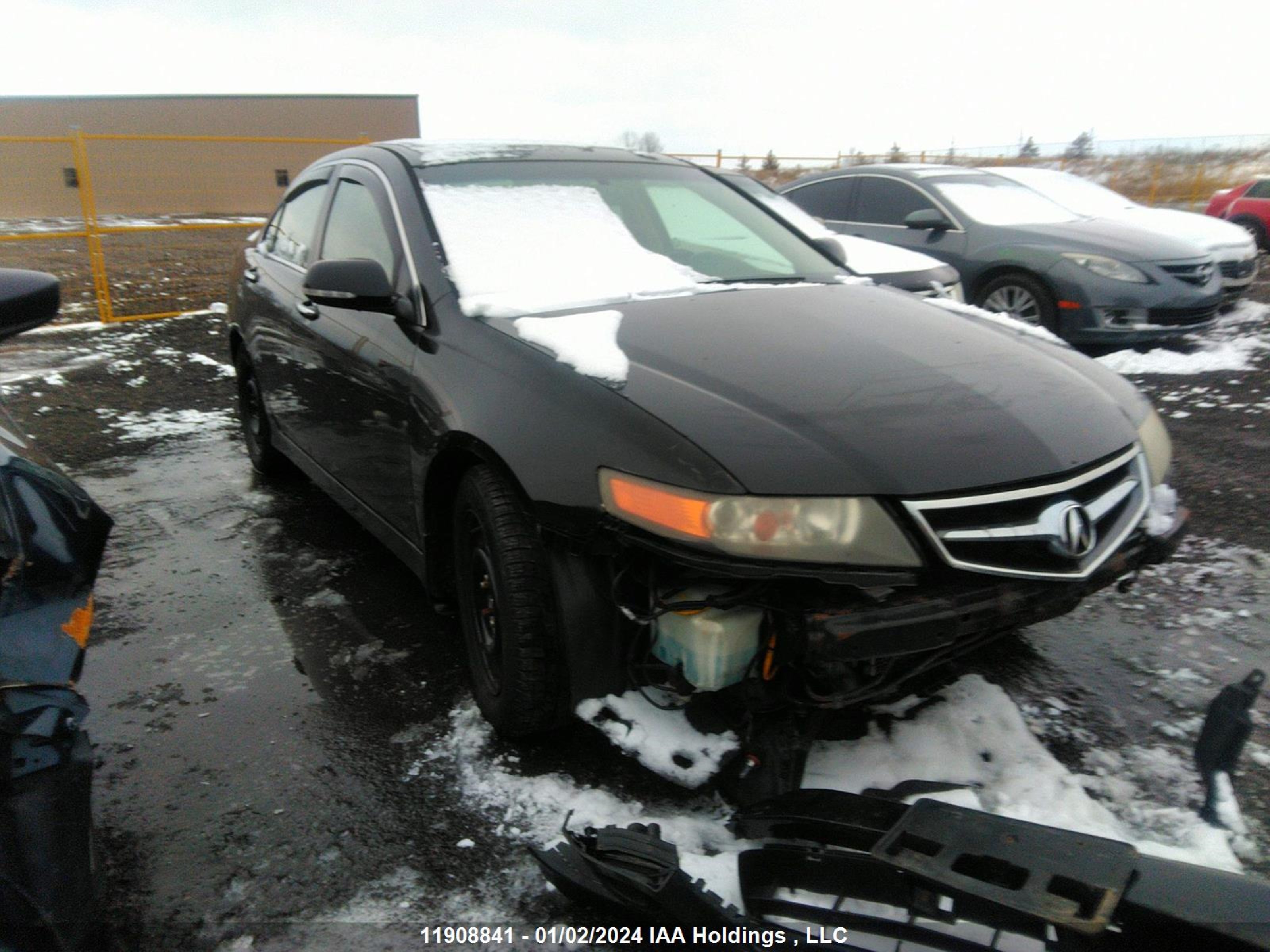 ACURA TSX 2006 jh4cl96846c800649