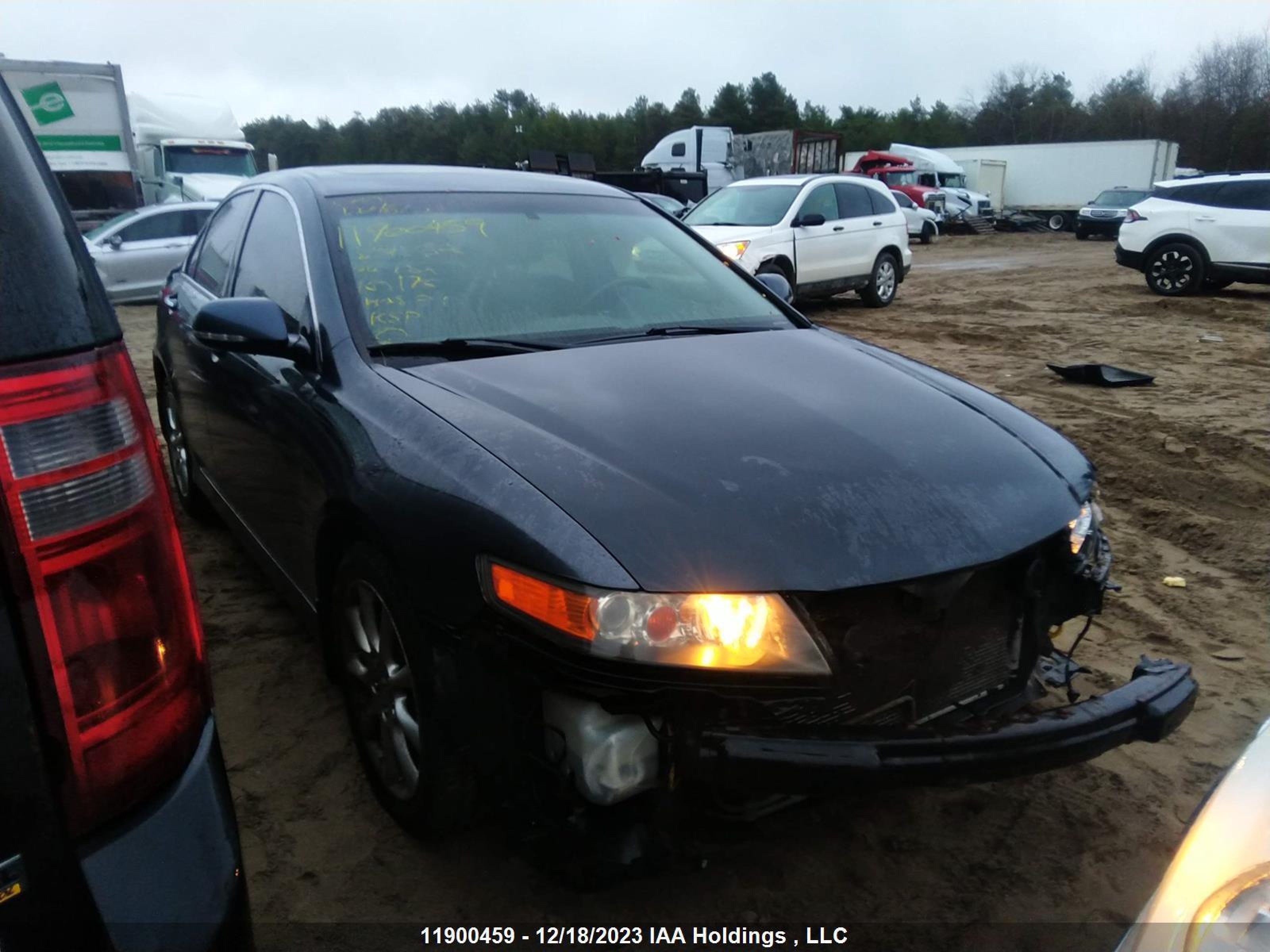 ACURA TSX 2006 jh4cl96846c801882