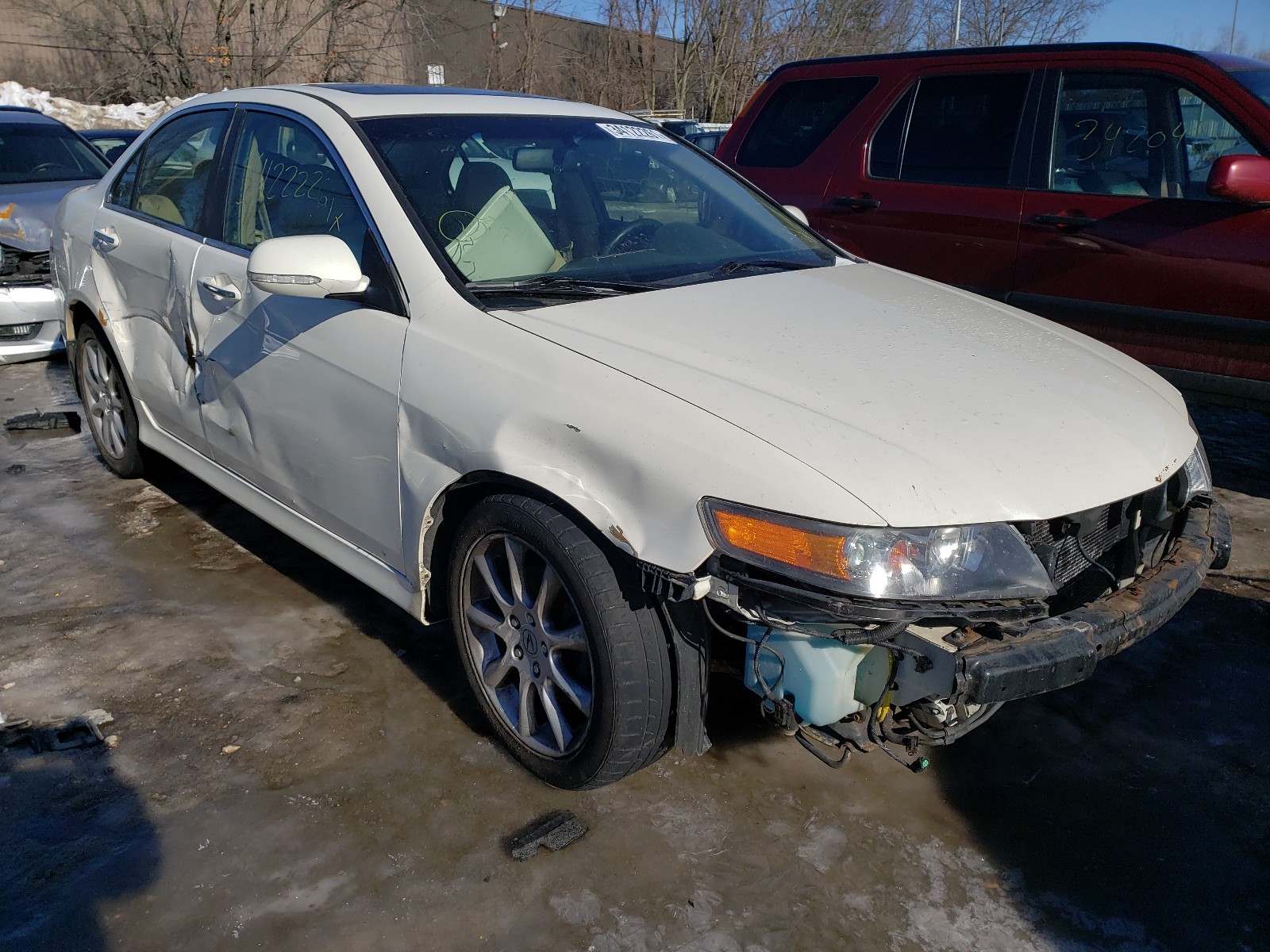 ACURA TSX 2008 jh4cl96848c021934