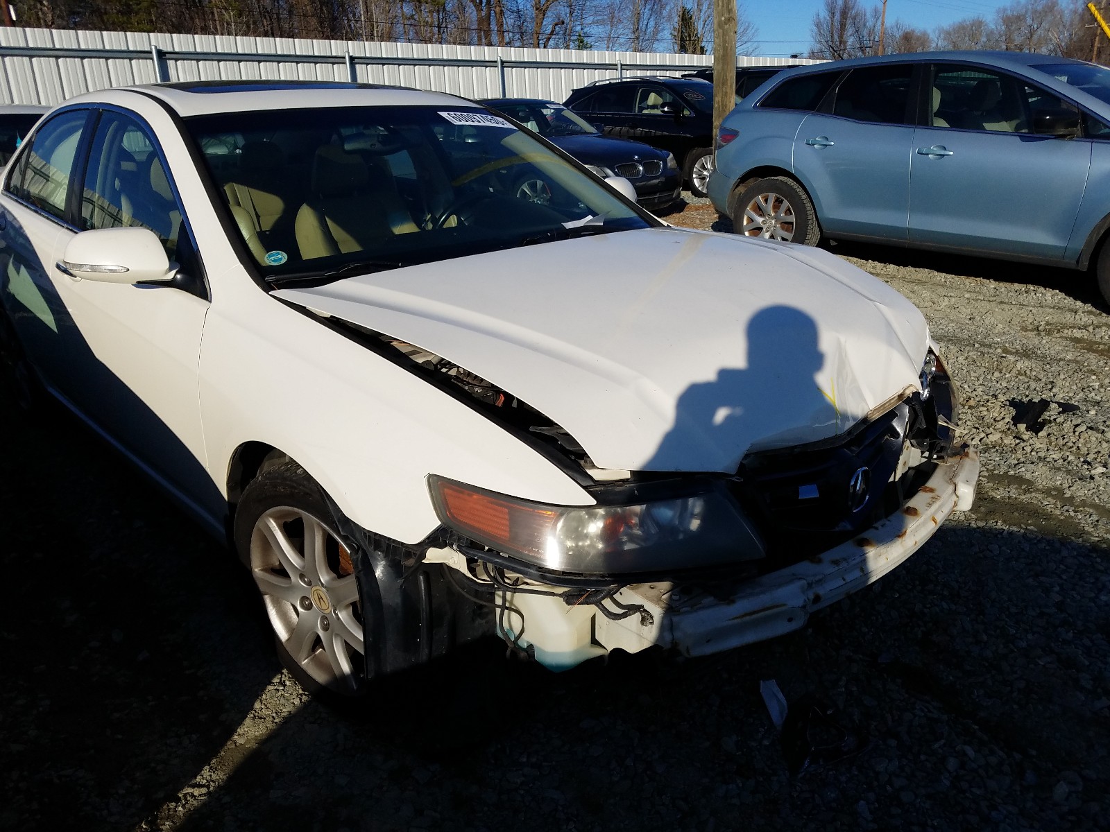 ACURA TSX 2004 jh4cl96854c018115