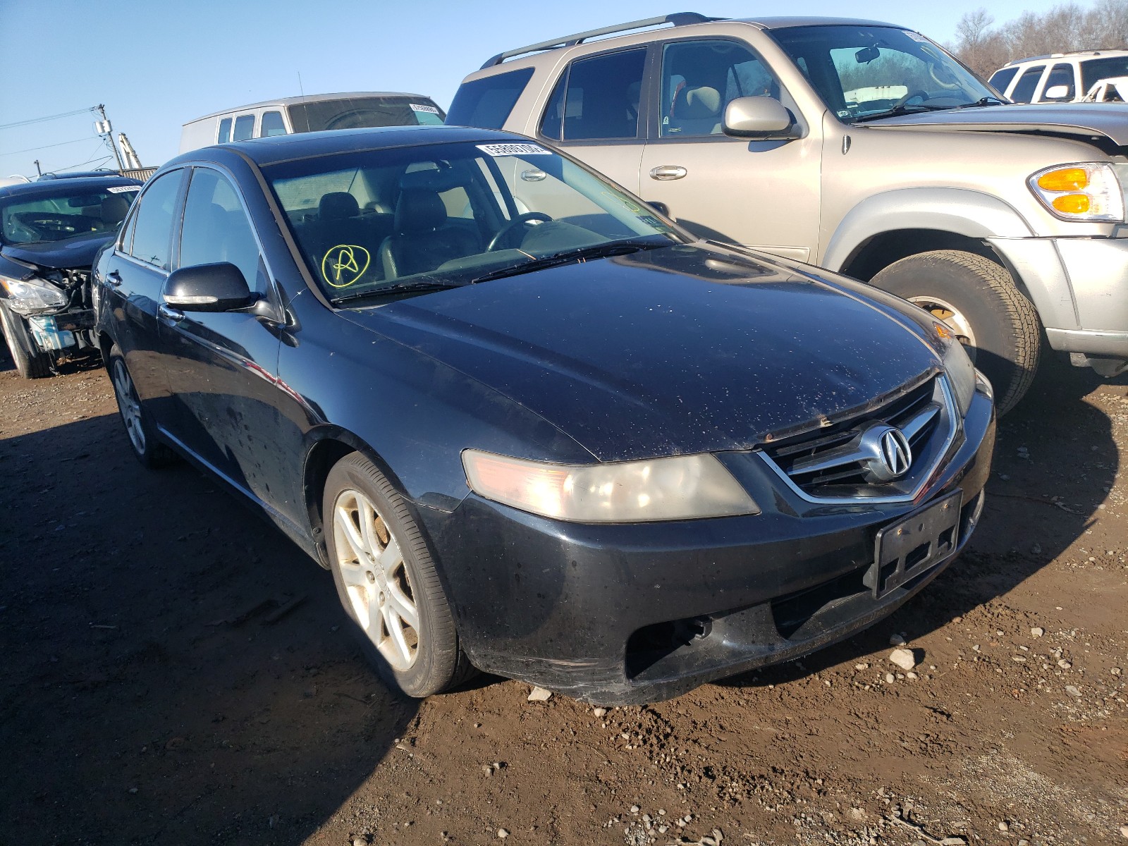 ACURA TSX 2005 jh4cl96855c025387