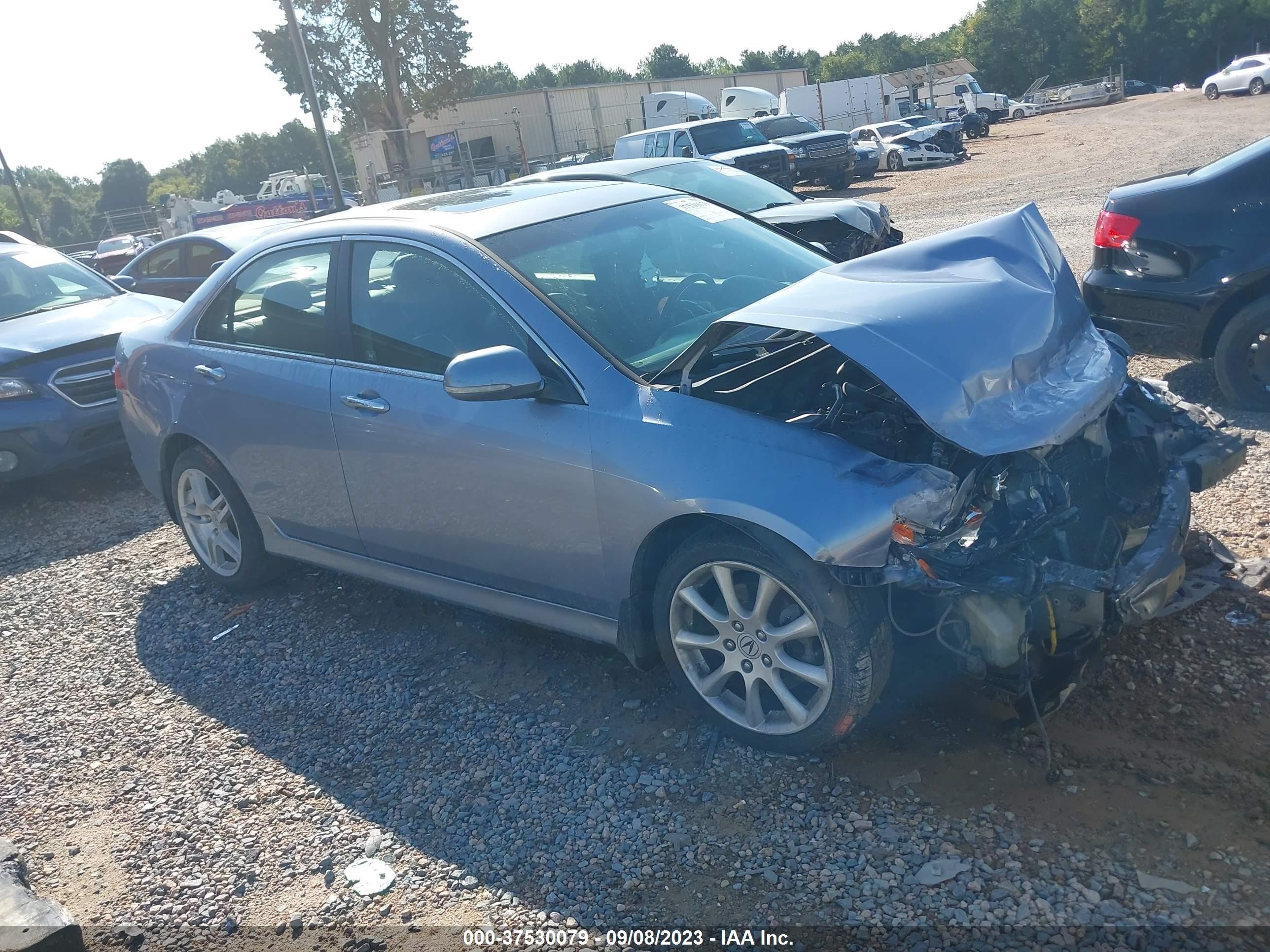 ACURA TSX 2006 jh4cl96856c017159