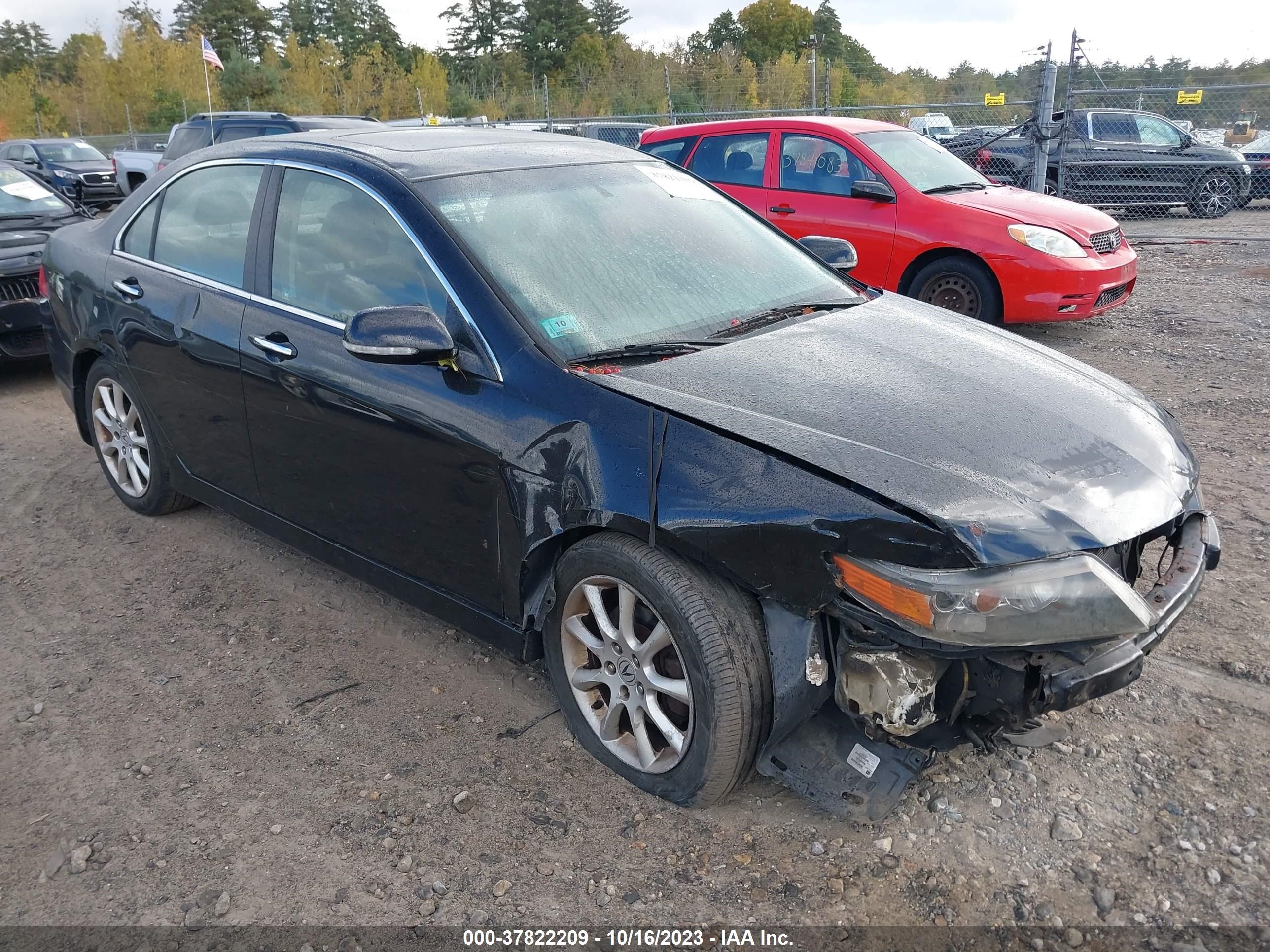 ACURA TSX 2006 jh4cl96856c017341