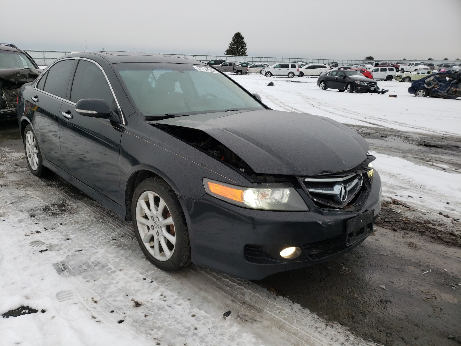 ACURA TSX 2006 jh4cl96856c020076