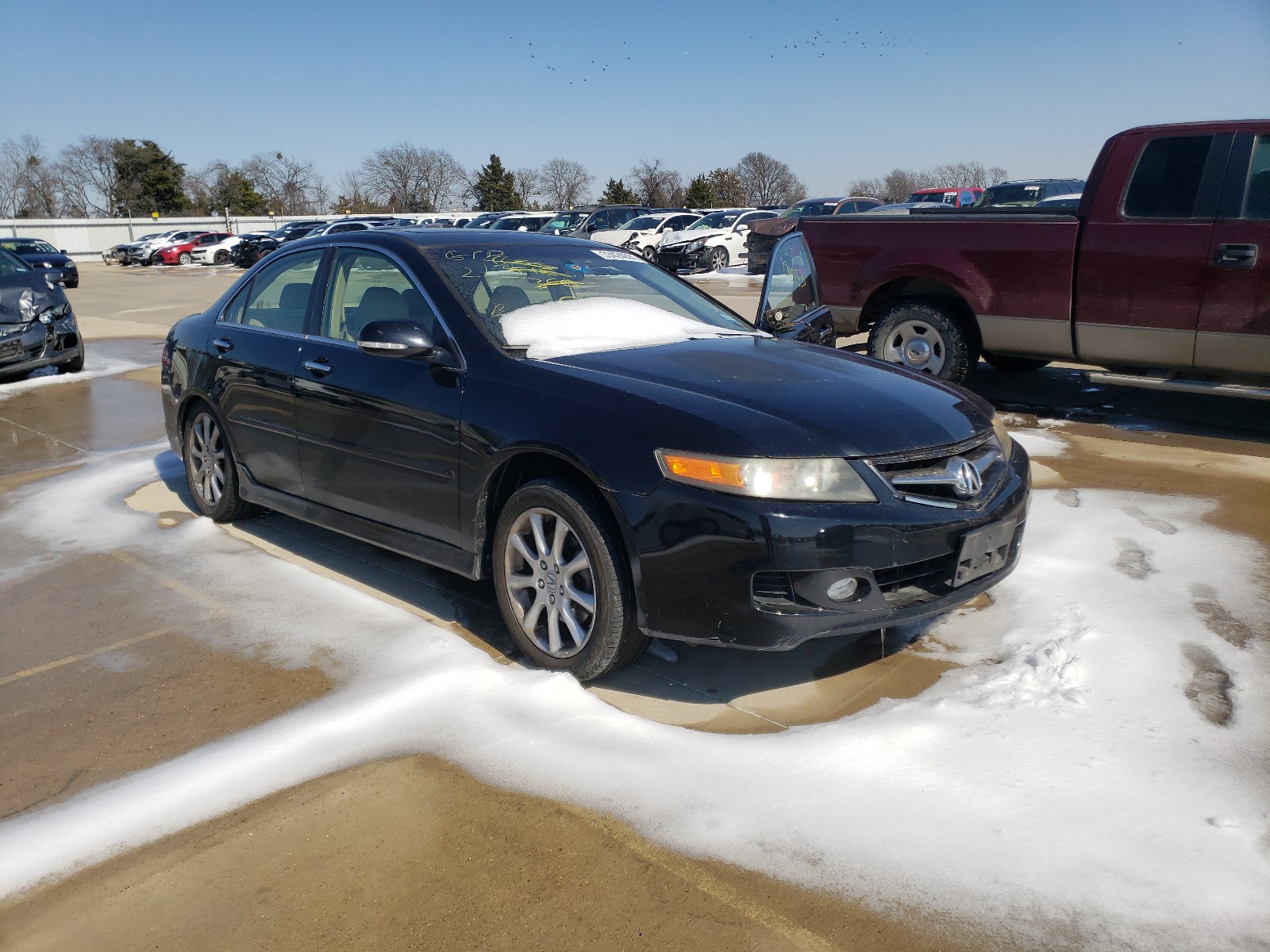 ACURA TSX 2008 jh4cl96858c006066