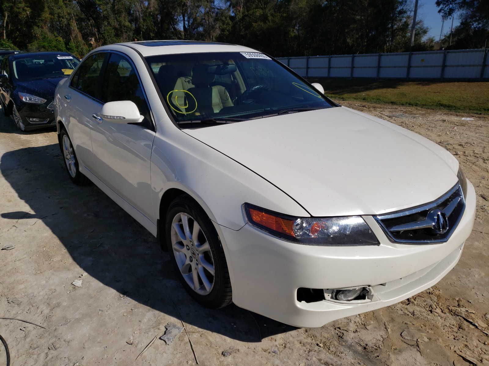 ACURA TSX 2006 jh4cl96866c011838