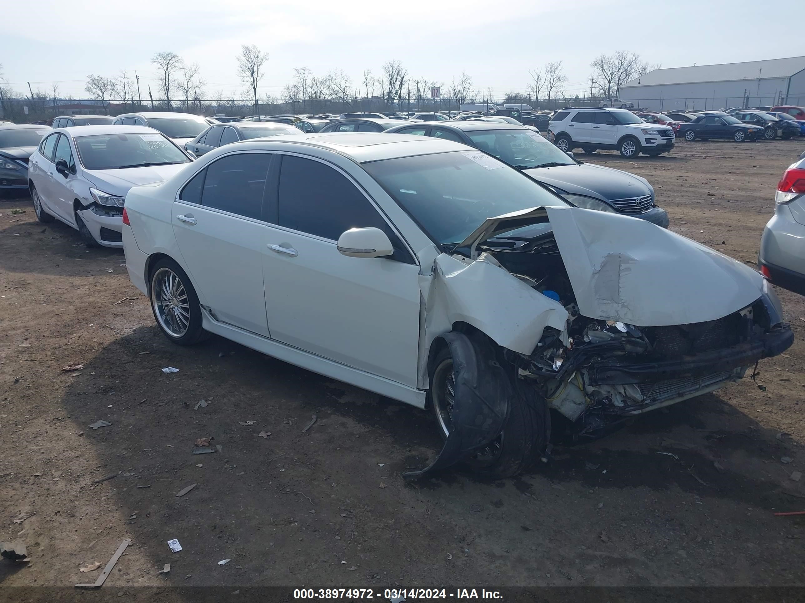 ACURA TSX 2007 jh4cl96867c017415