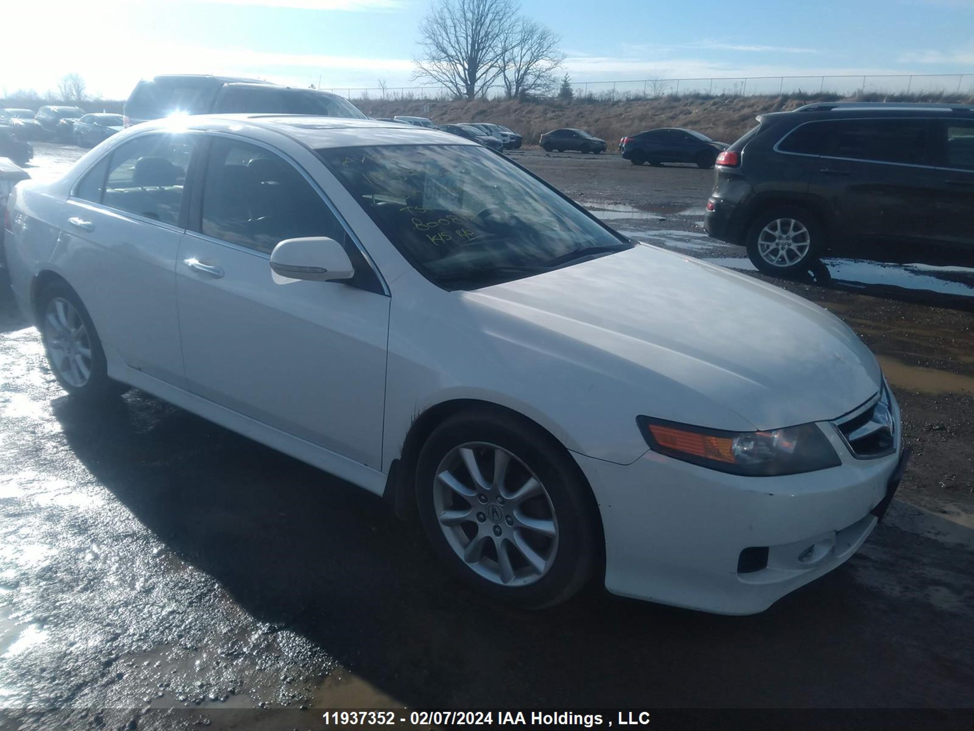 ACURA TSX 2008 jh4cl96868c800817