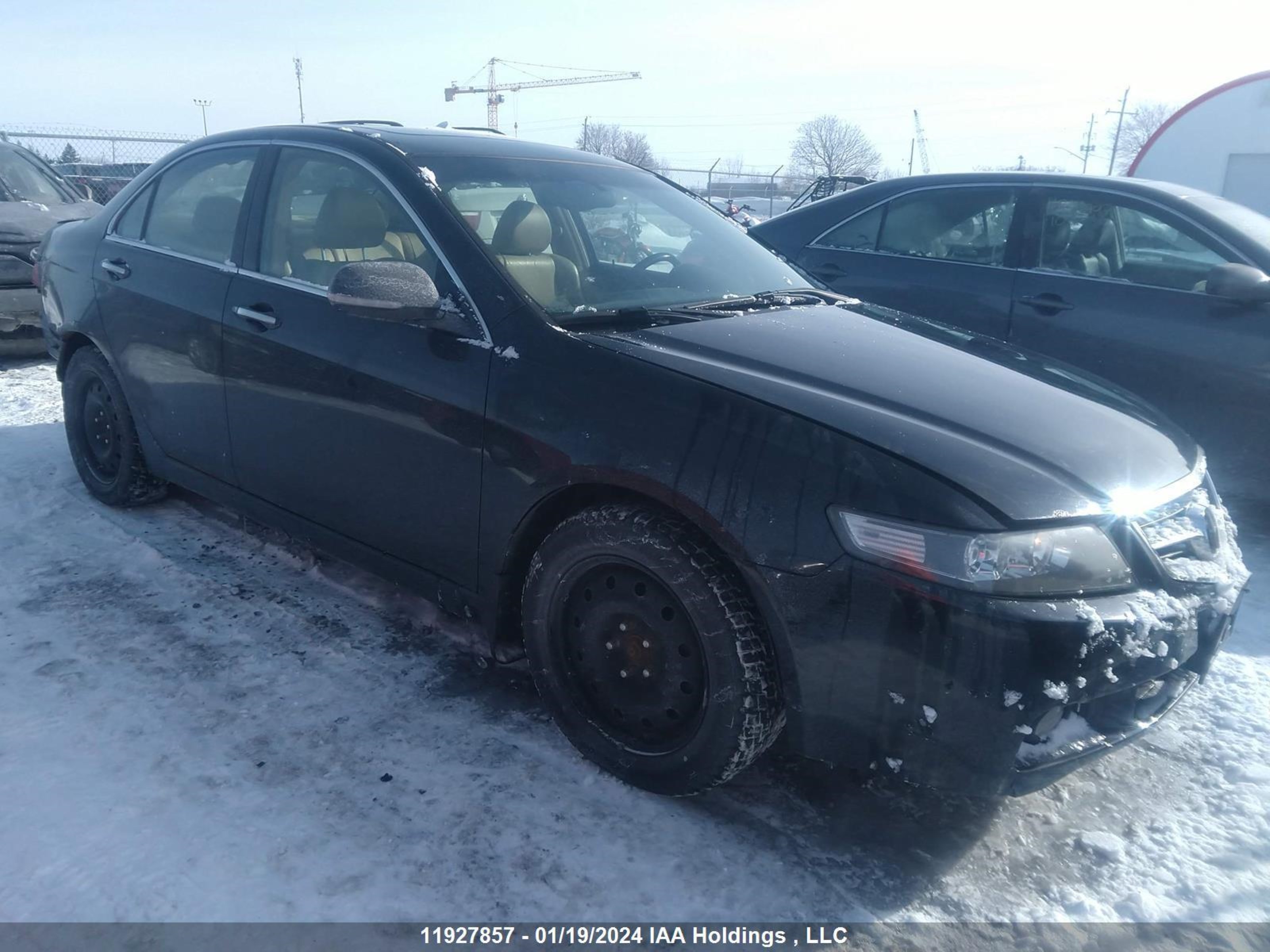 ACURA TSX 2004 jh4cl96874c803431