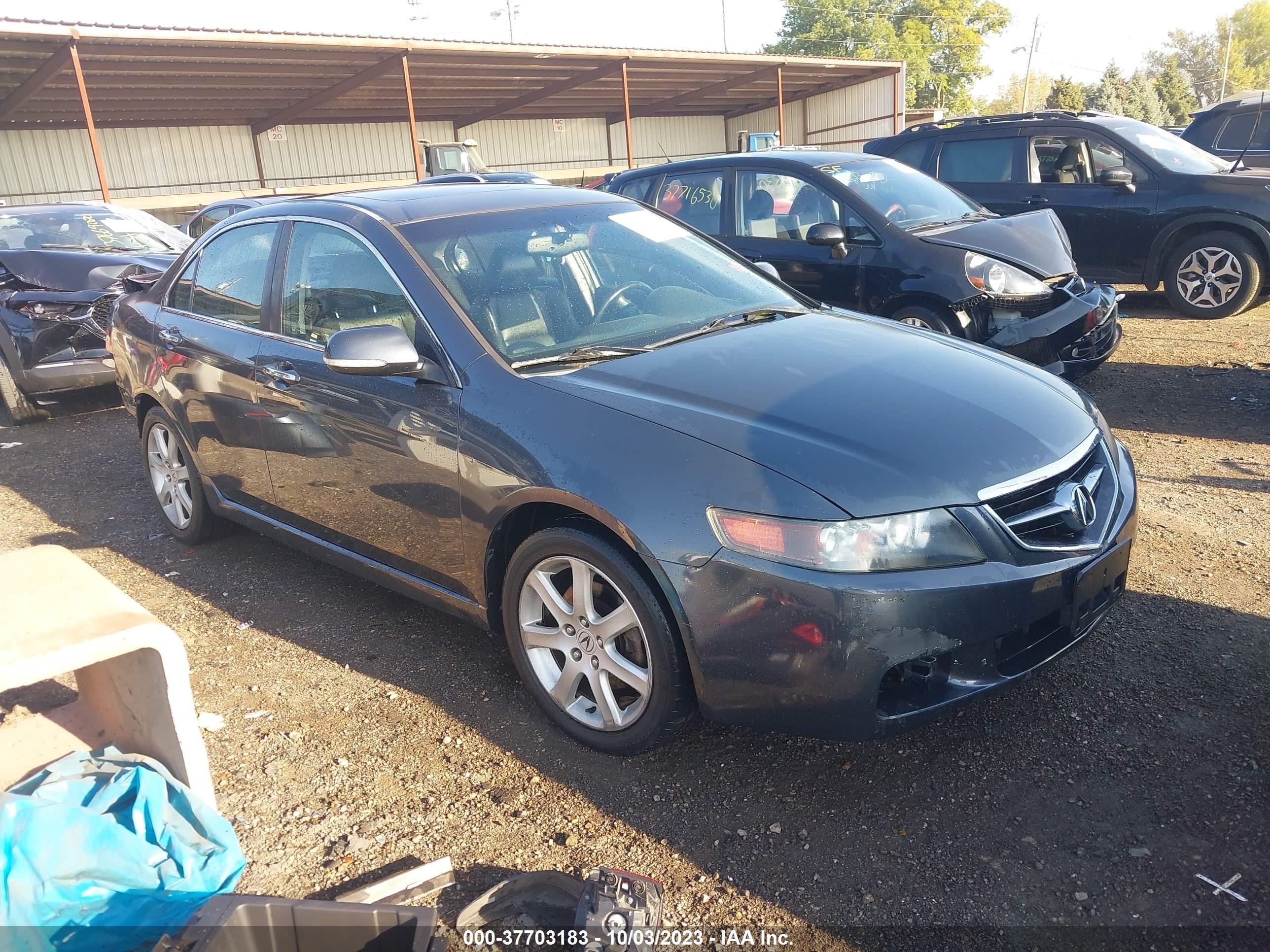 ACURA TSX 2005 jh4cl96875c003214