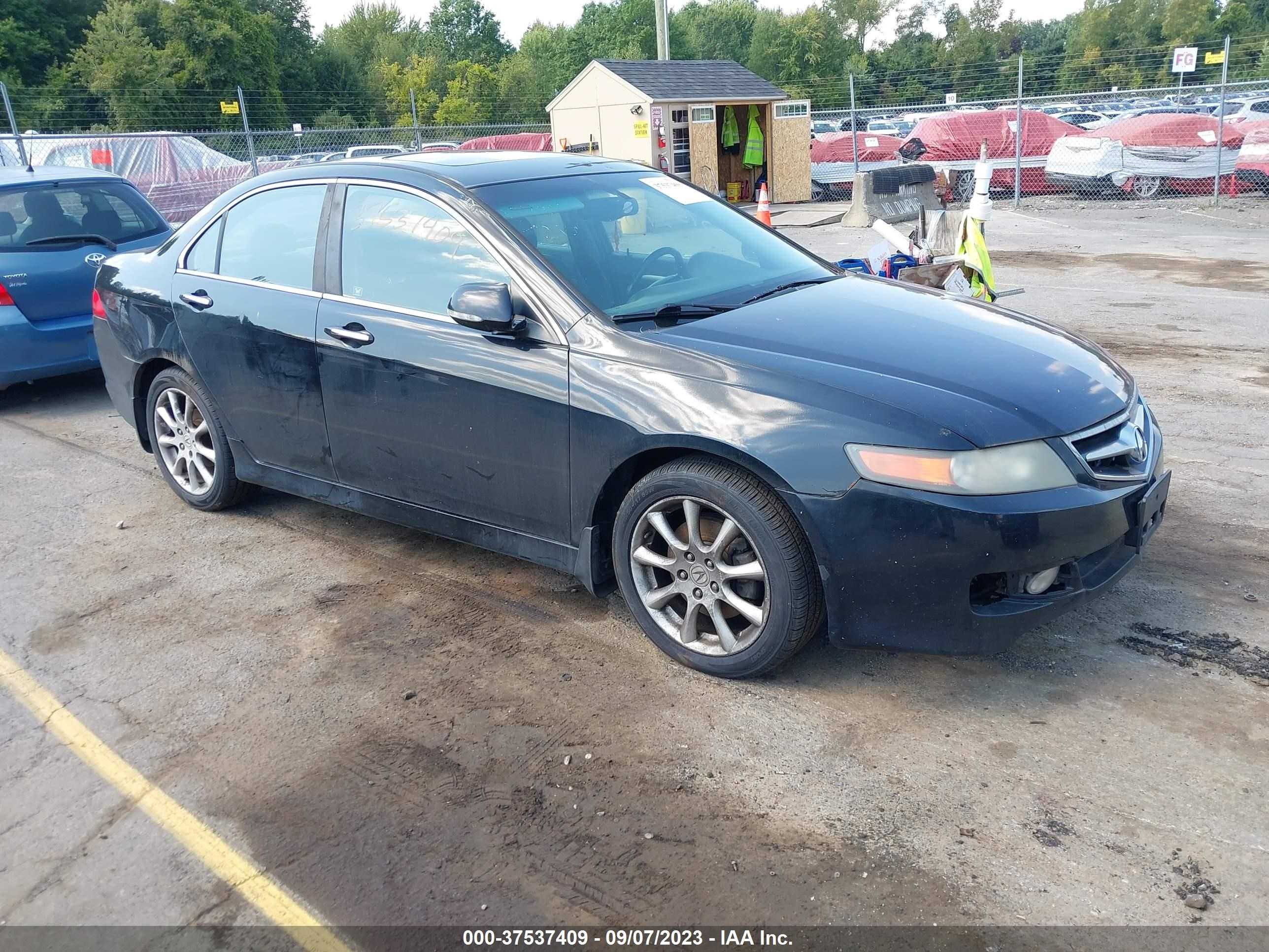 ACURA TSX 2006 jh4cl96876c004896