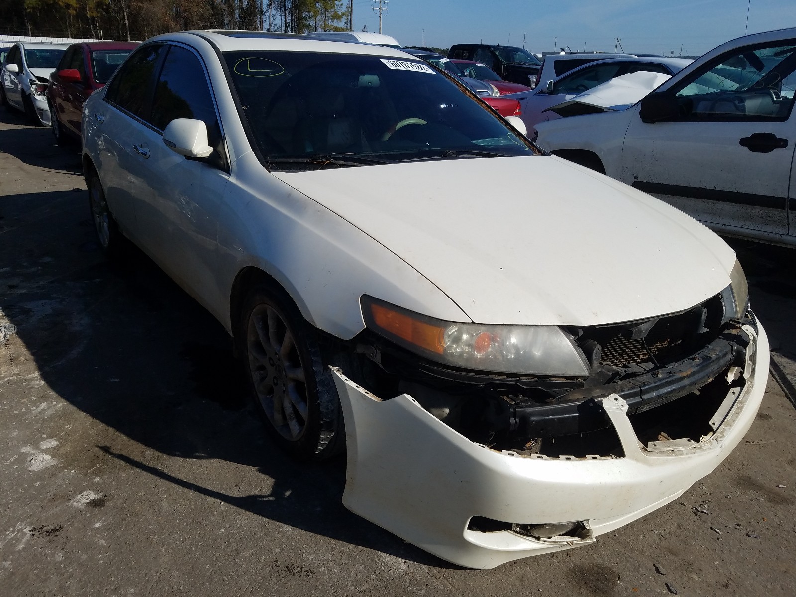 ACURA TSX 2008 jh4cl96878c018395