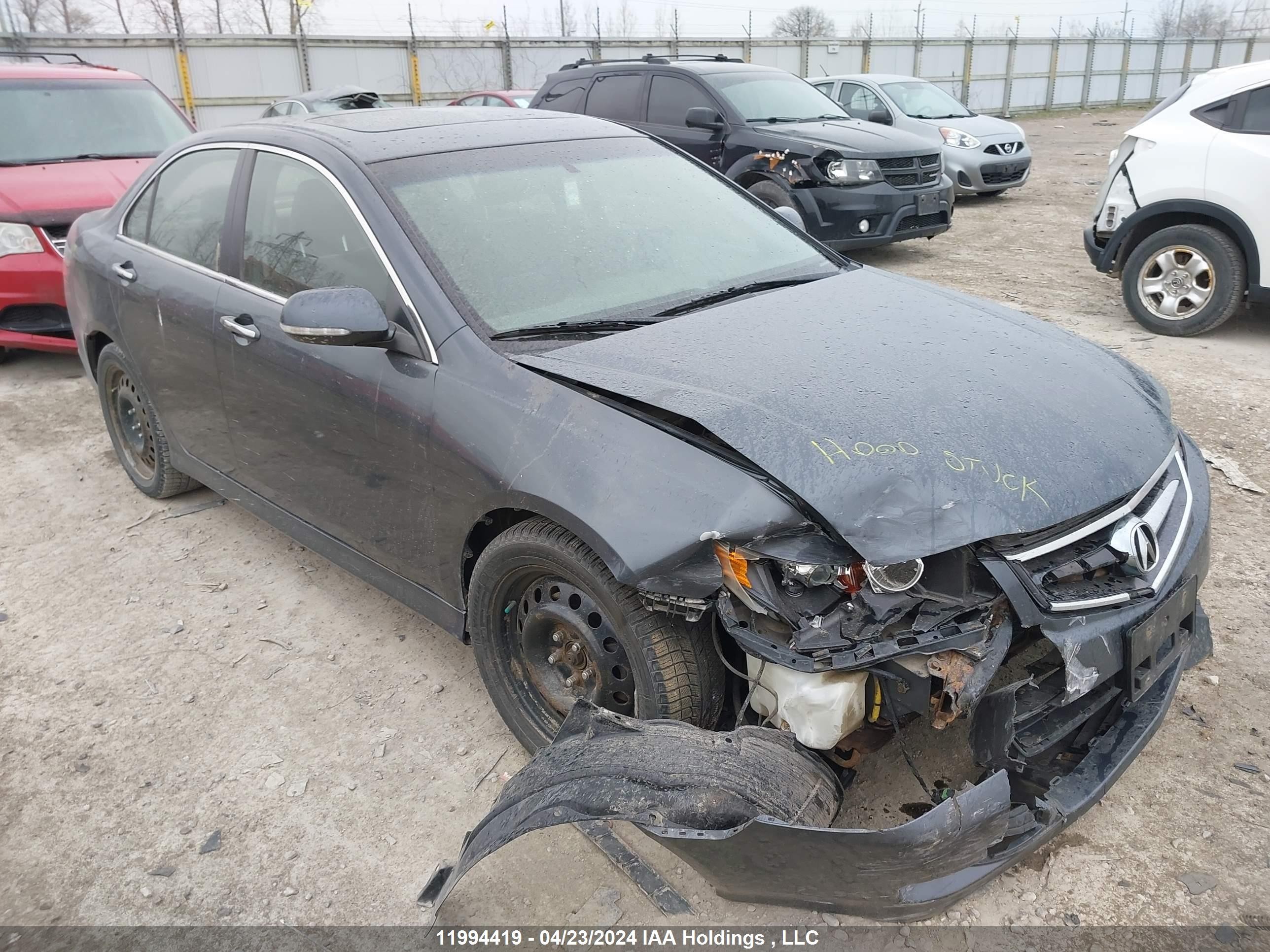 ACURA TSX 2008 jh4cl96878c801541