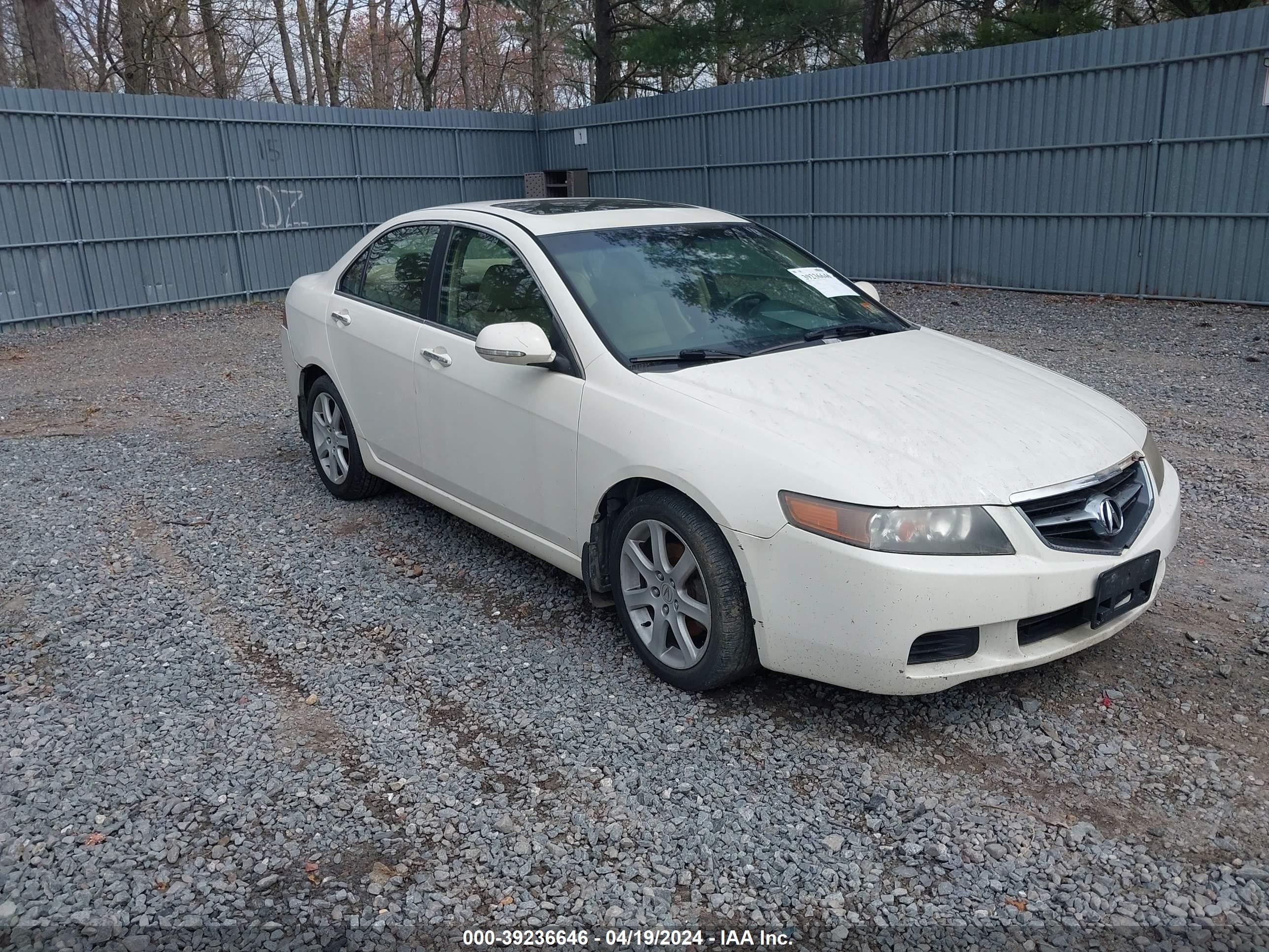 ACURA TSX 2004 jh4cl96884c018688