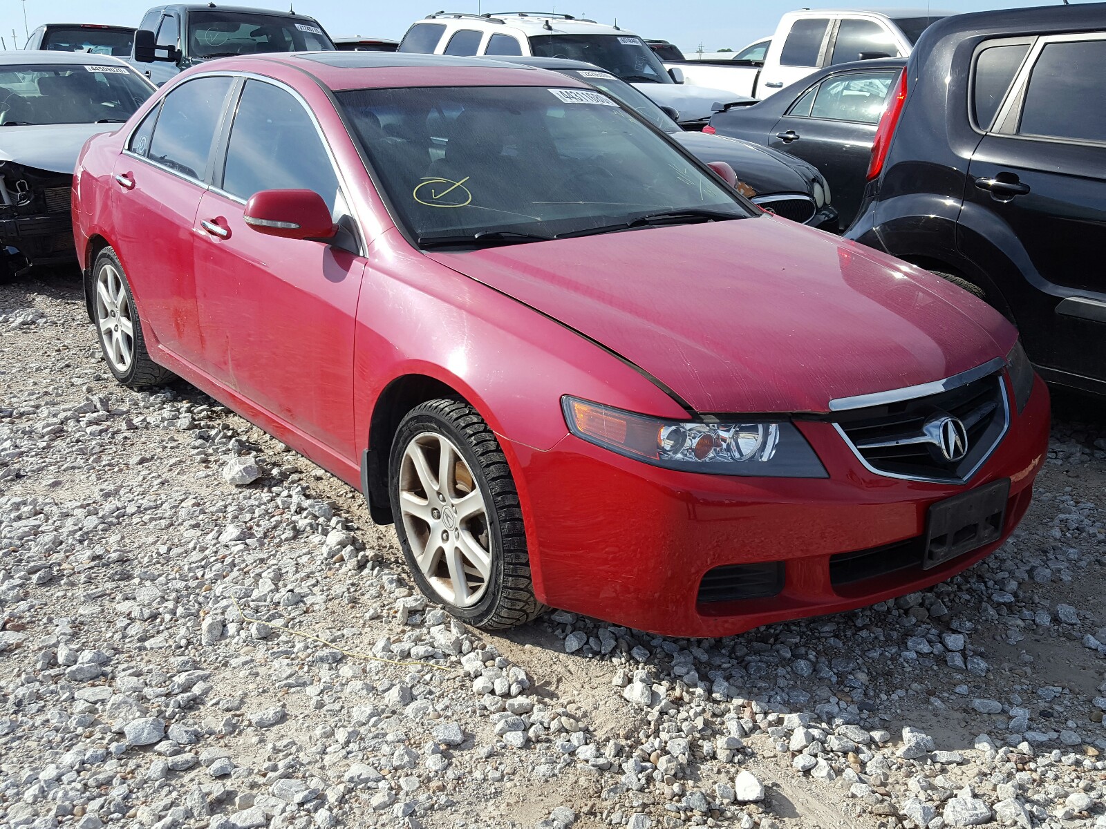 ACURA TSX 2005 jh4cl96885c021043