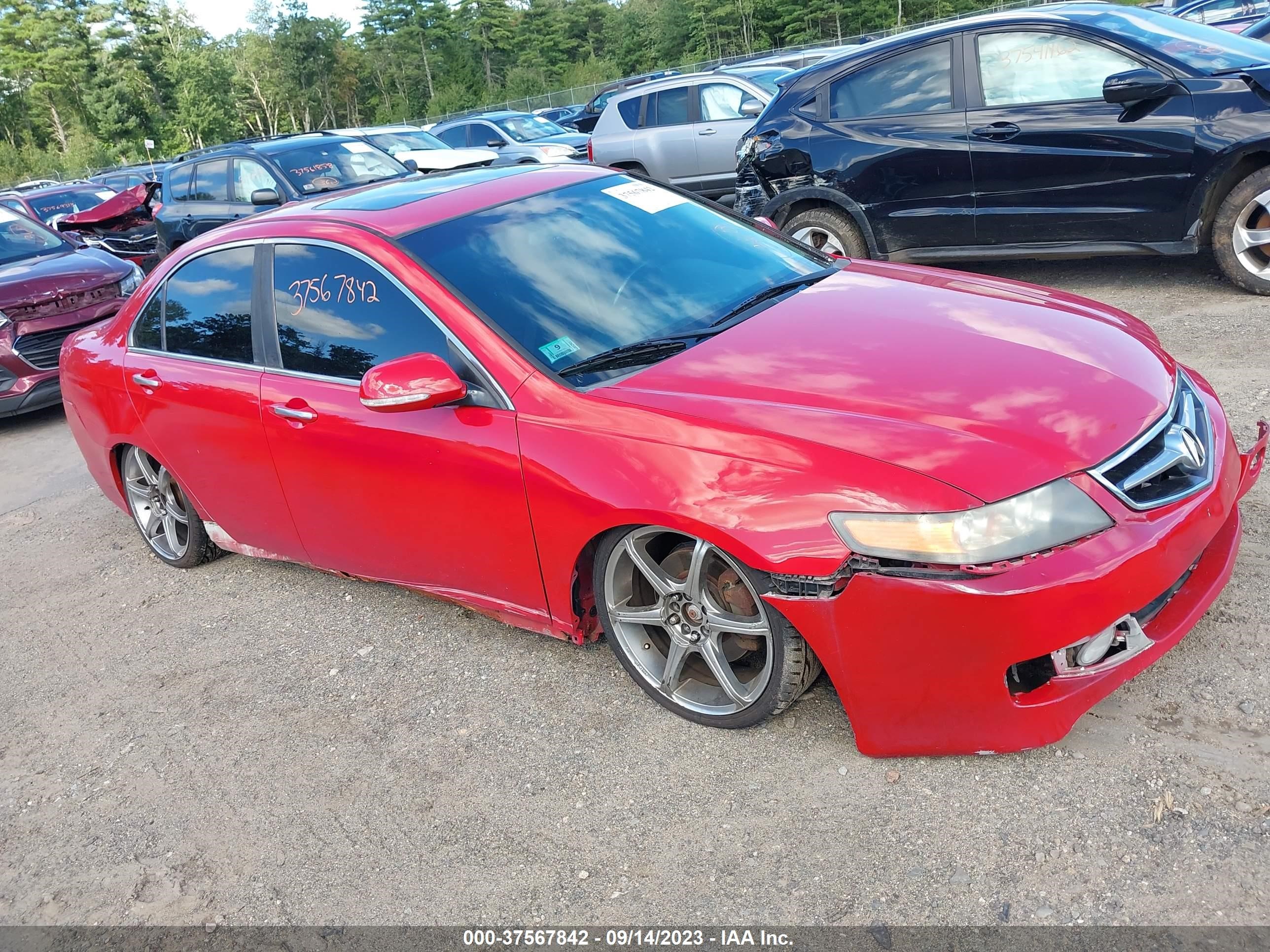 ACURA TSX 2006 jh4cl96886c030908