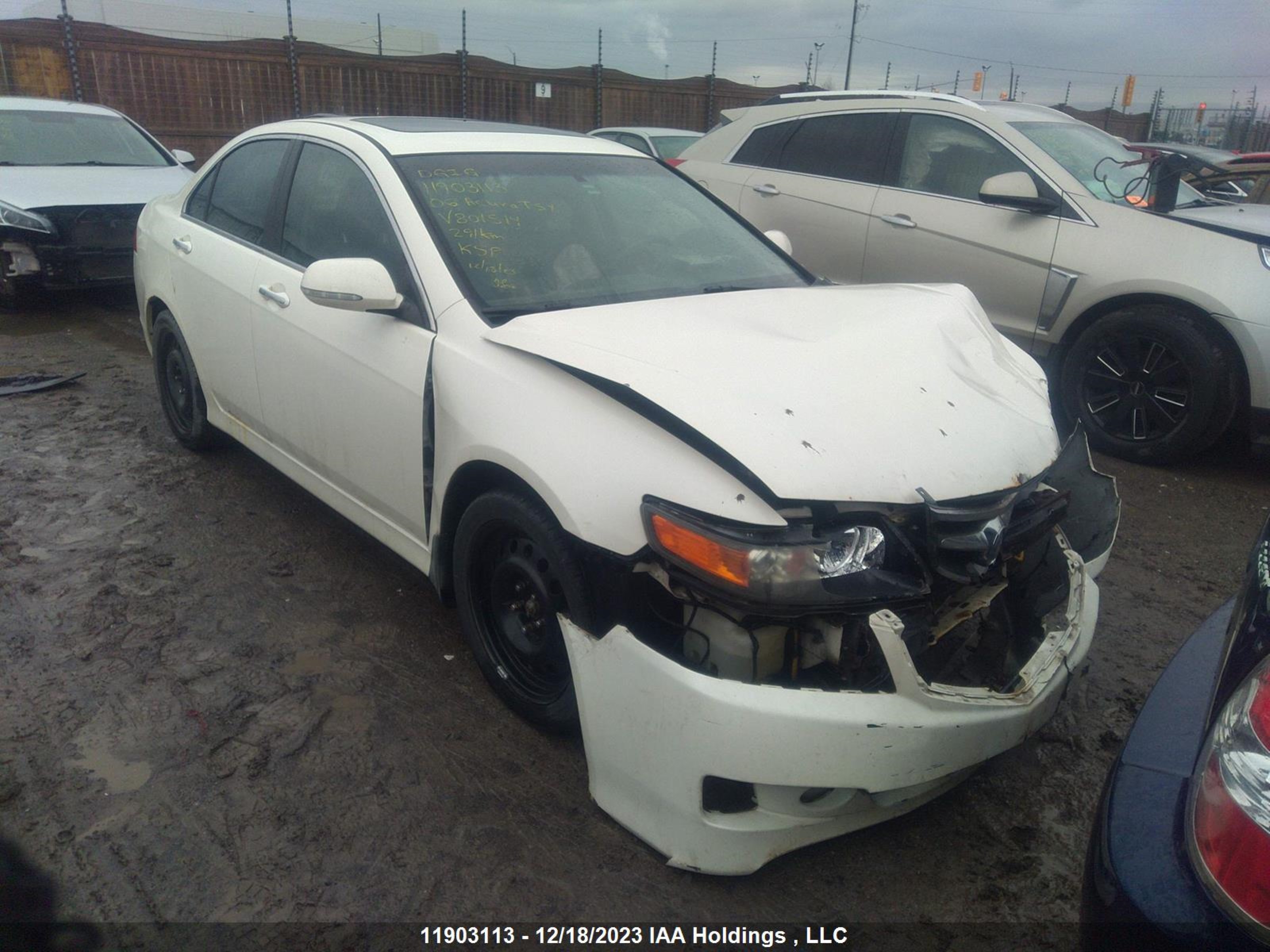 ACURA TSX 2006 jh4cl96886c801514