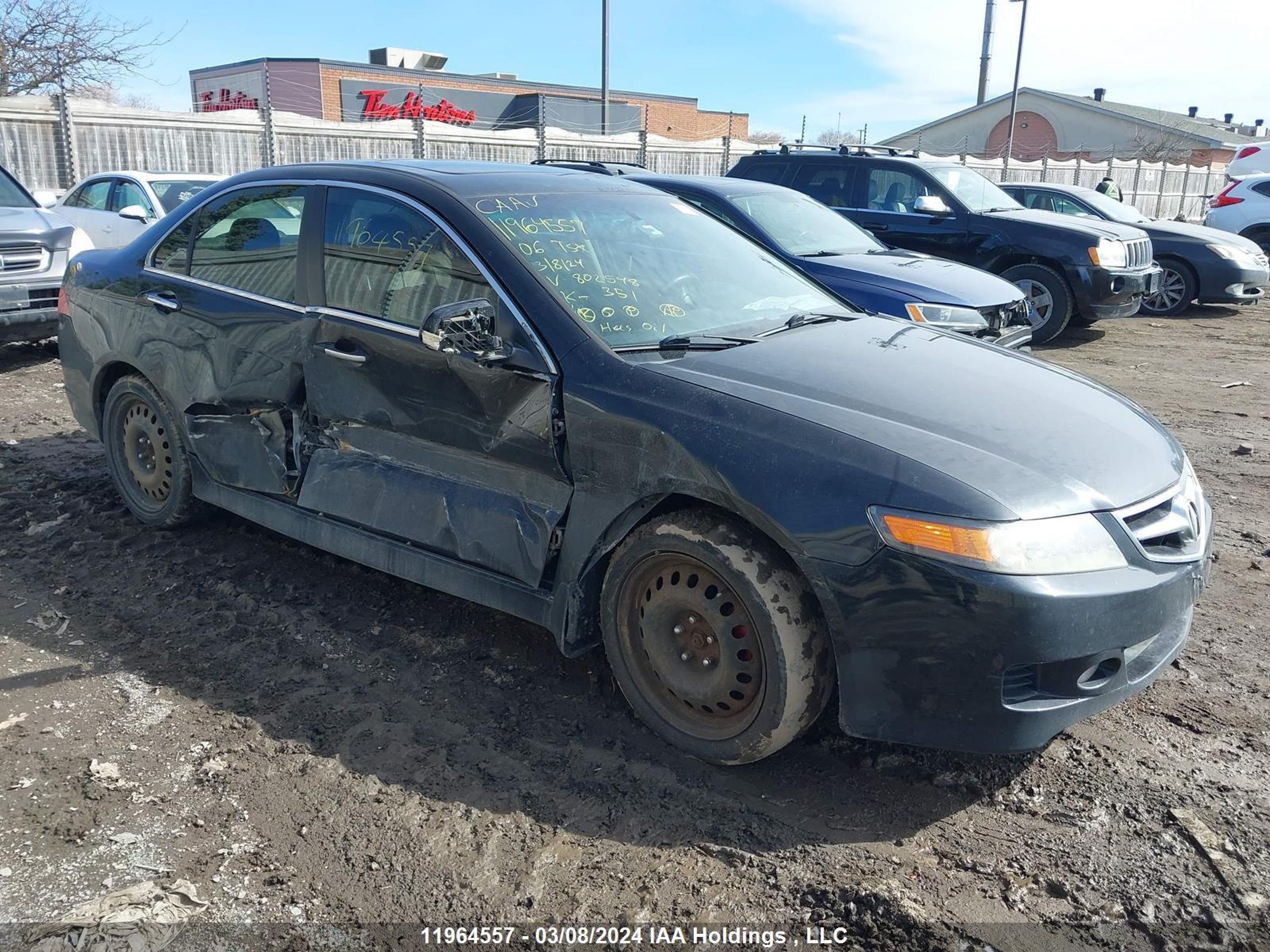 ACURA TSX 2006 jh4cl96886c802548