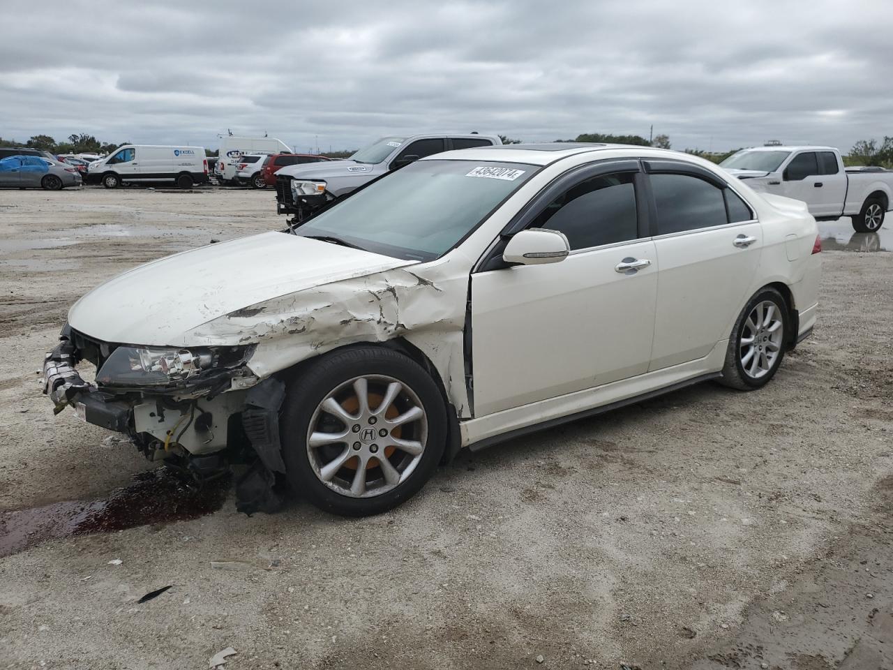 ACURA TSX 2006 jh4cl96896c029427