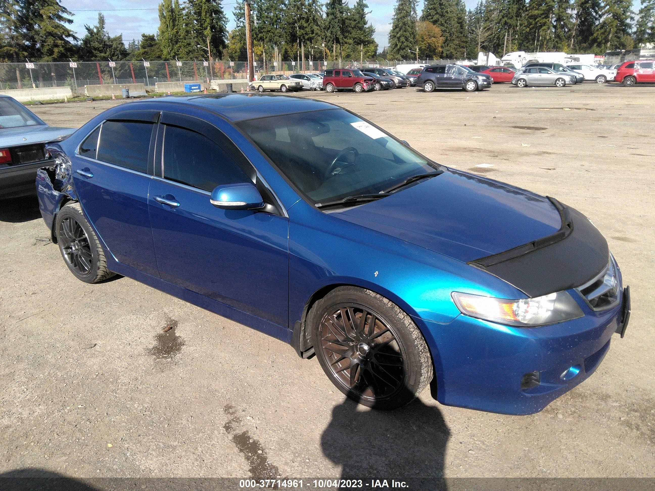 ACURA TSX 2006 jh4cl96896c031128