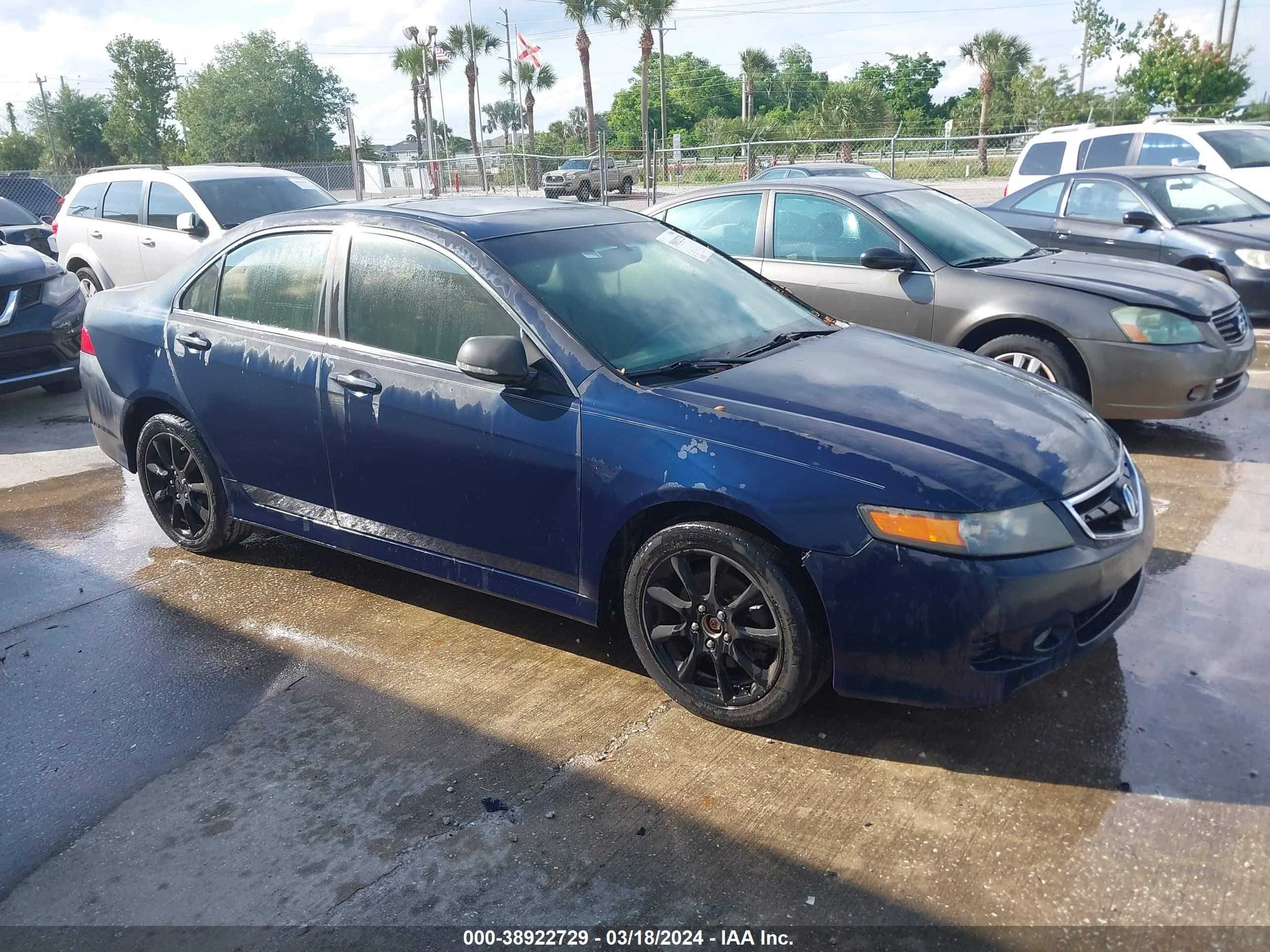 ACURA TSX 2006 jh4cl96896c031906