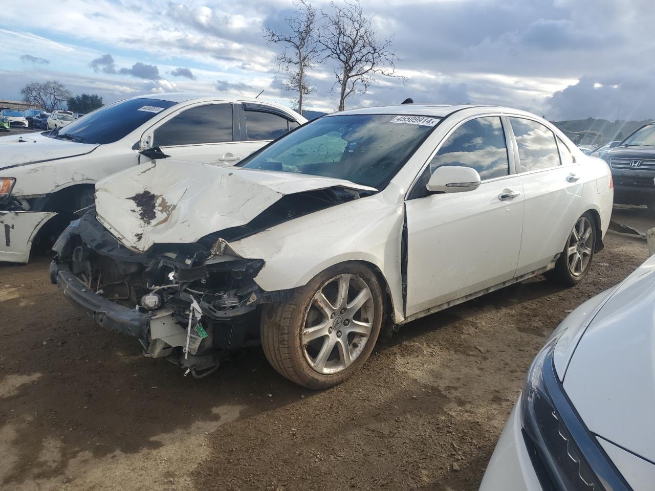 ACURA TSX 2005 jh4cl968x5c023716