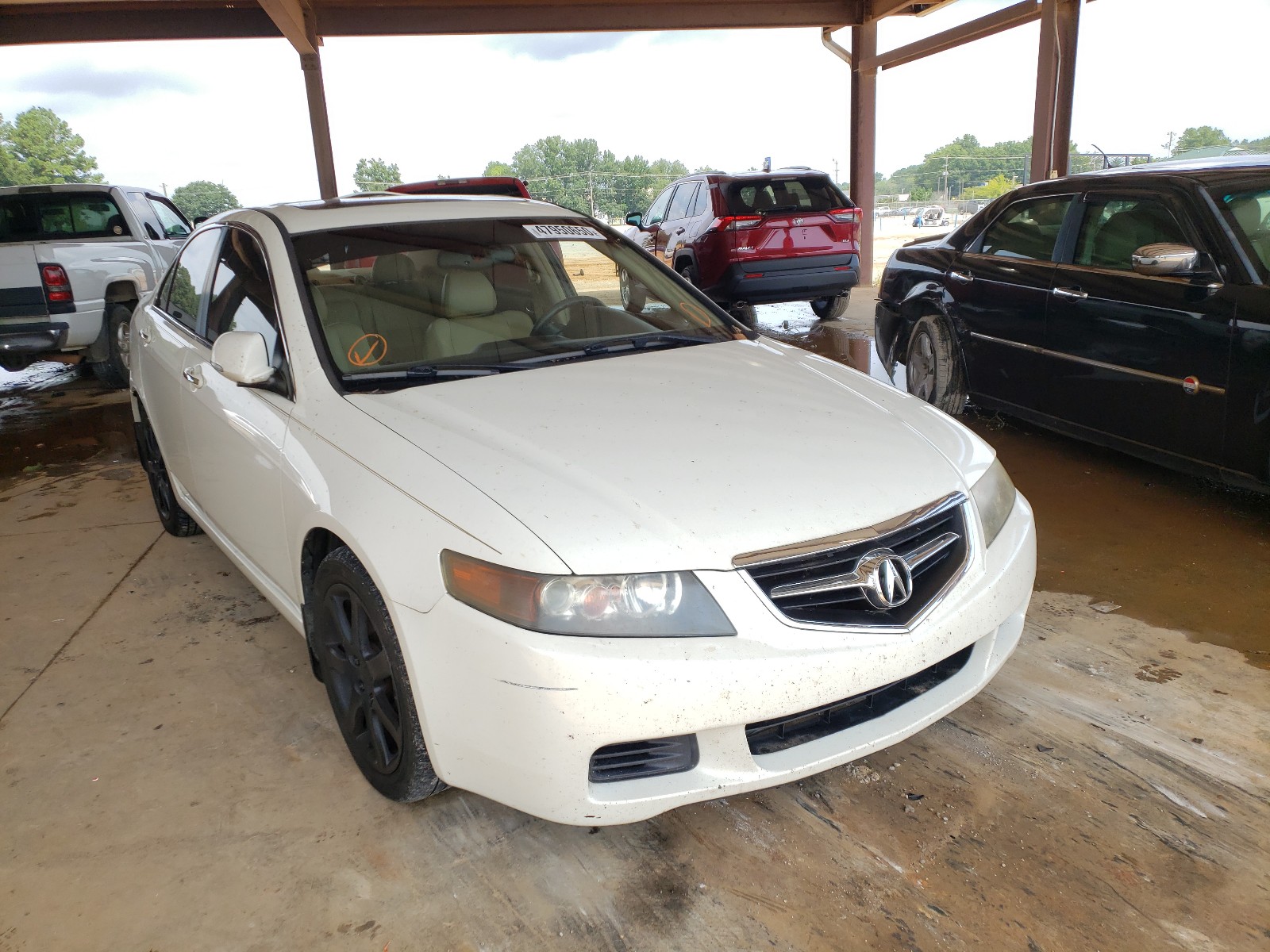 ACURA TSX 2004 jh4cl96904c015812