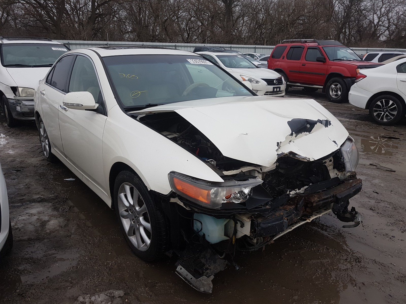 ACURA TSX 2007 jh4cl96927c010017