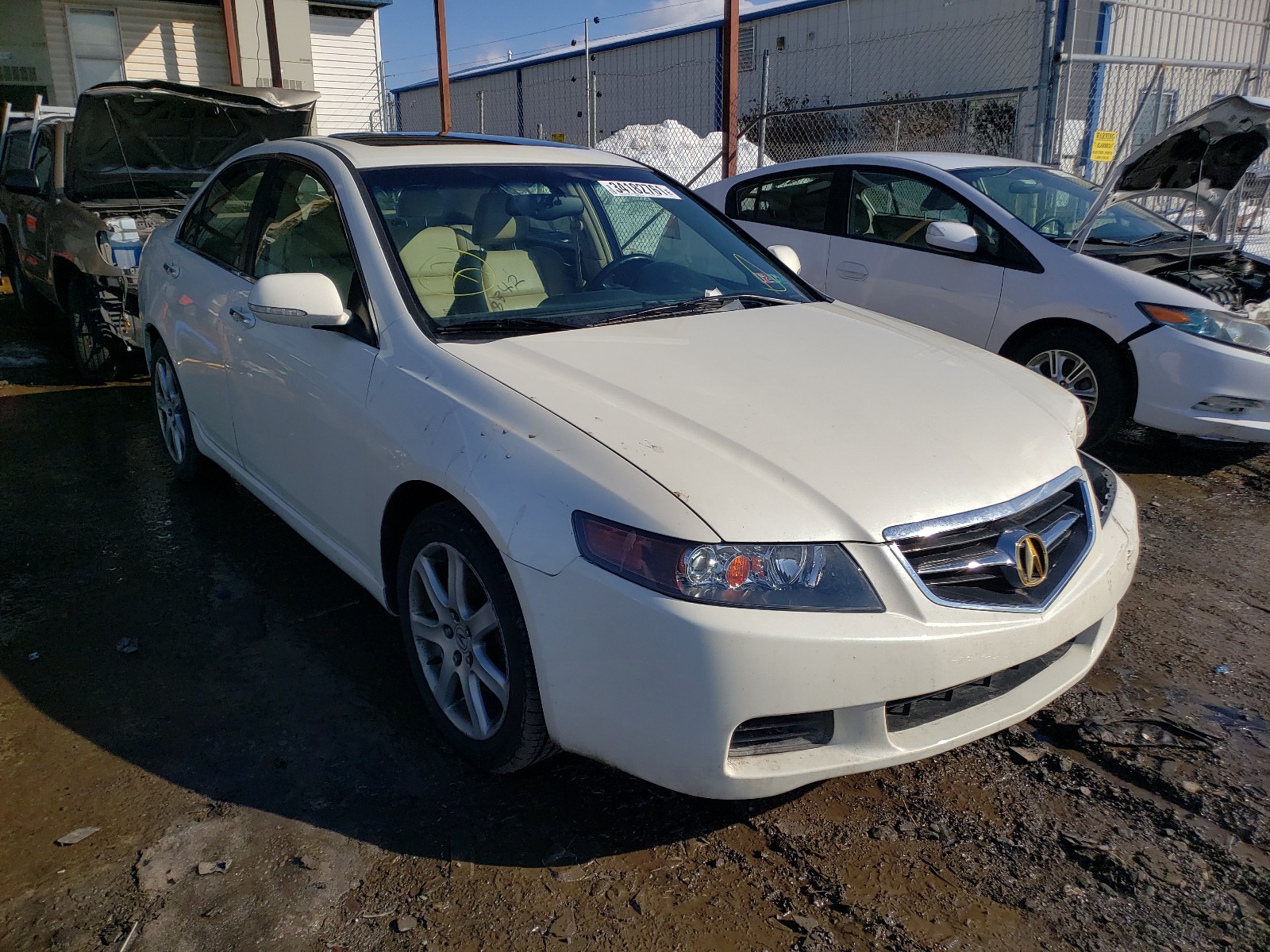 ACURA TSX 2005 jh4cl96955c022403