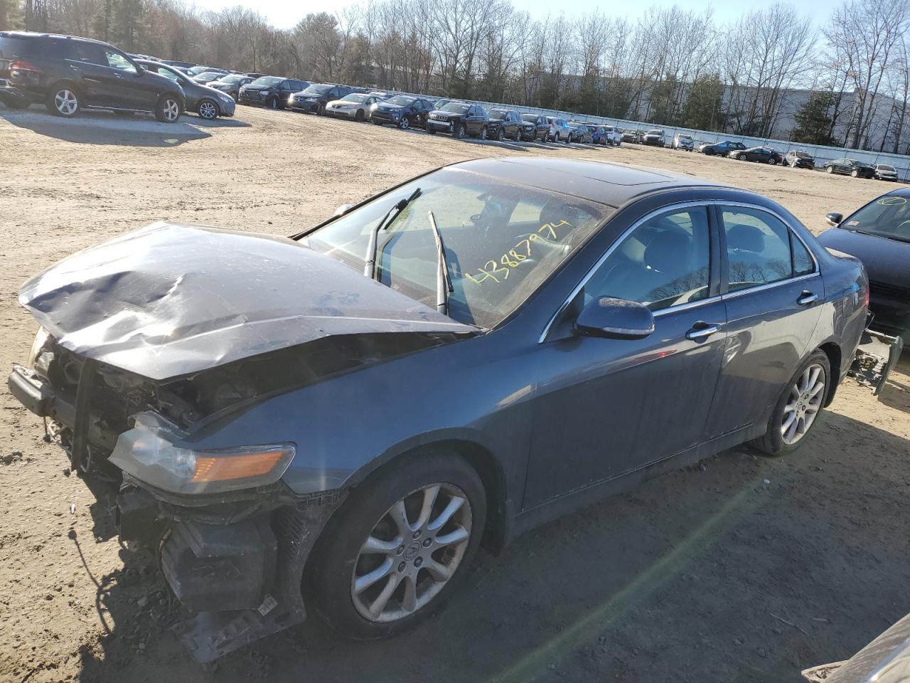 ACURA TSX 2006 jh4cl96986c022851