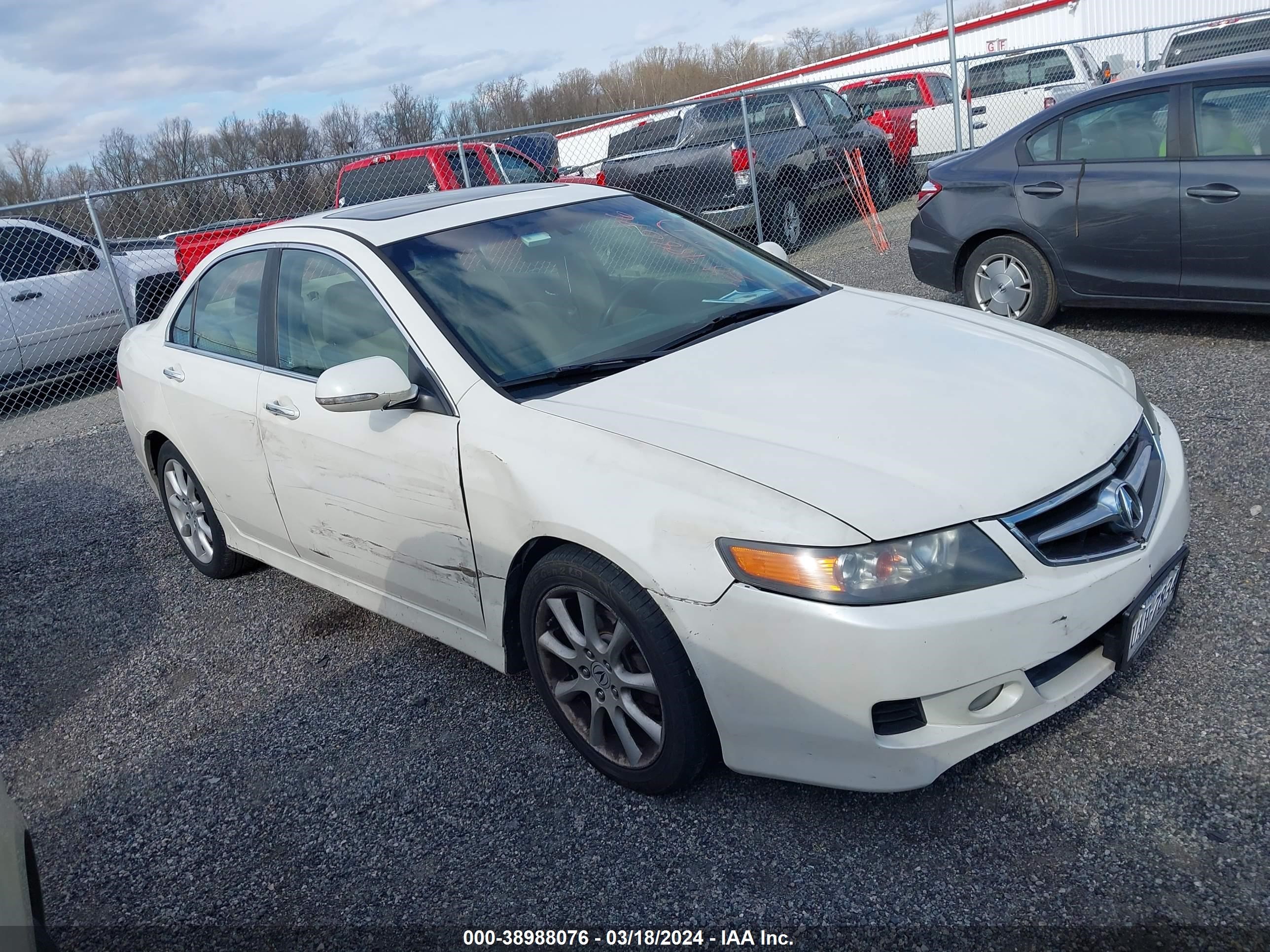 ACURA TSX 2006 jh4cl96986c025426